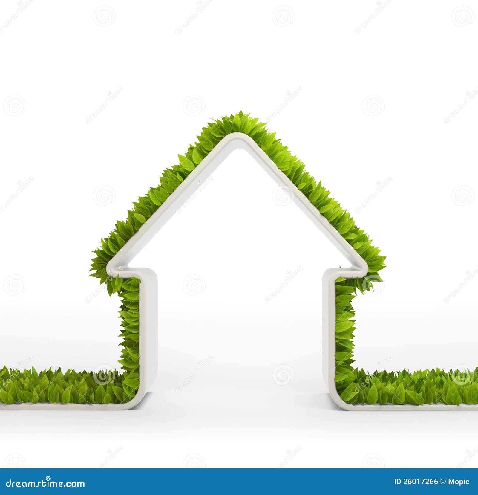 Green Home Symbol Ro