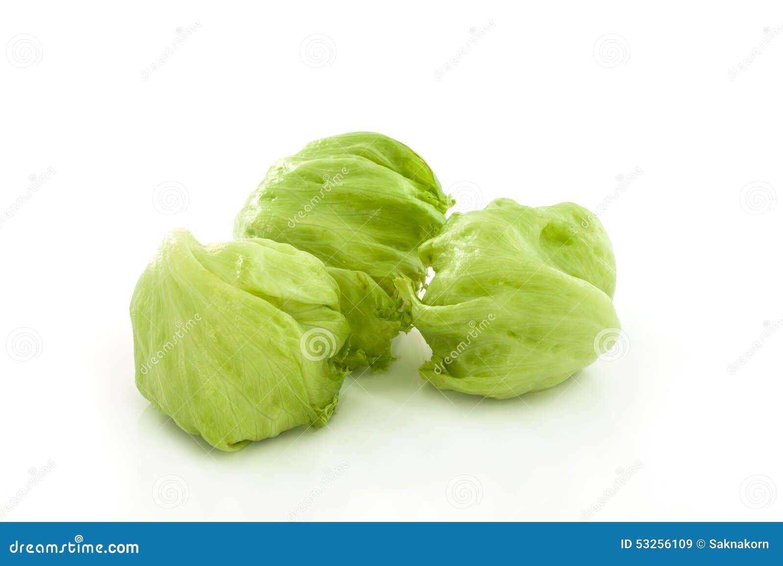 Green Iceberg lettuce stock image. Image of head, eating 53256109