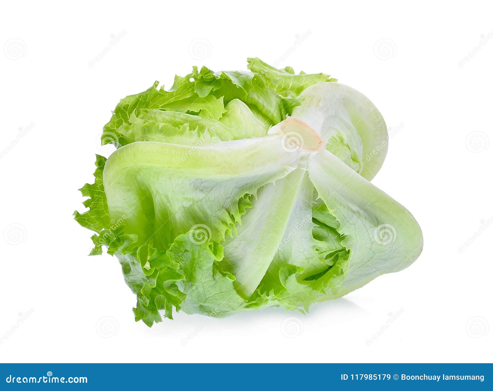iceberg lettuce nutrition iceberg lettuce nutrition