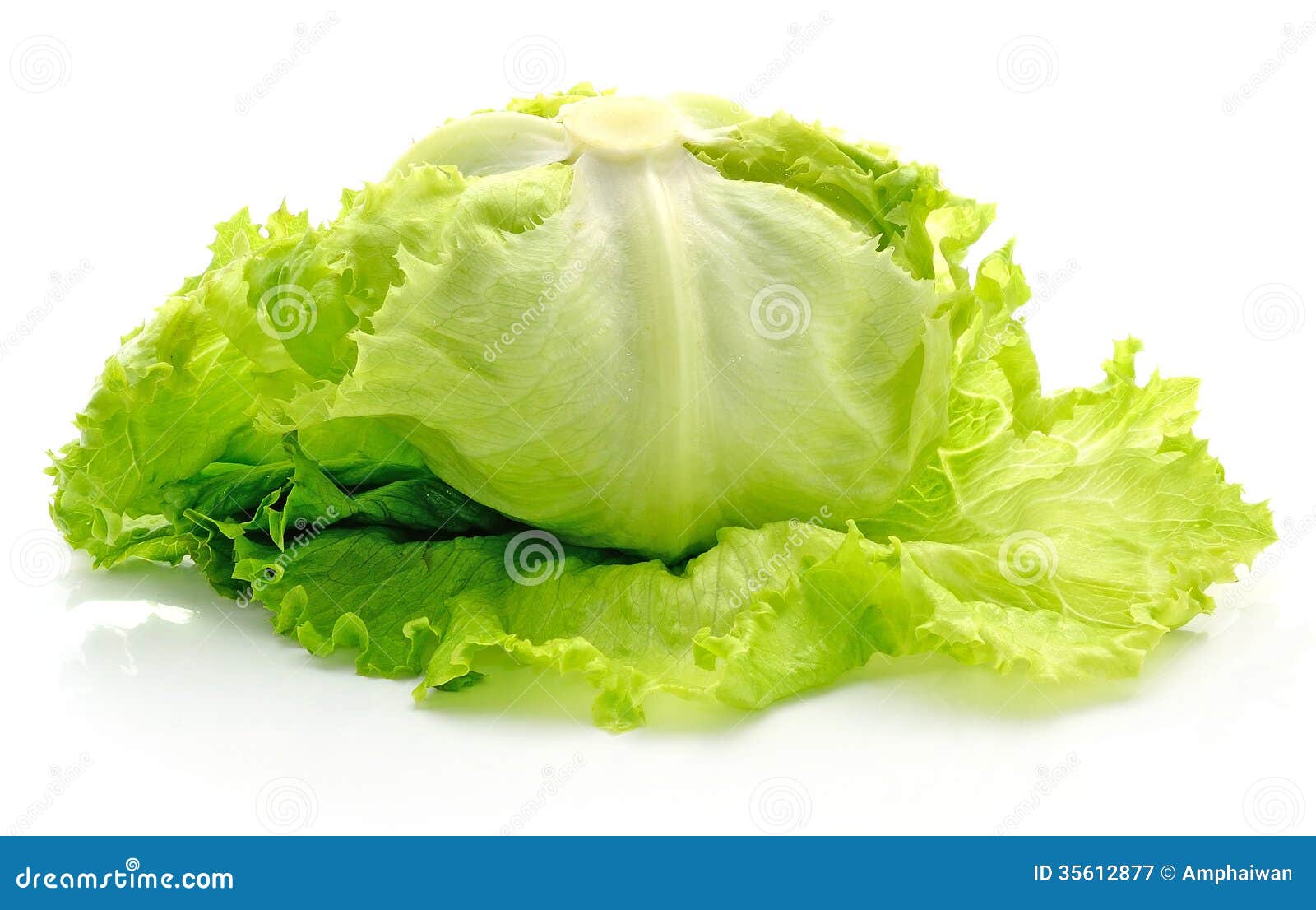 Green Iceberg lettuce stock image. Image of saturated 35612877