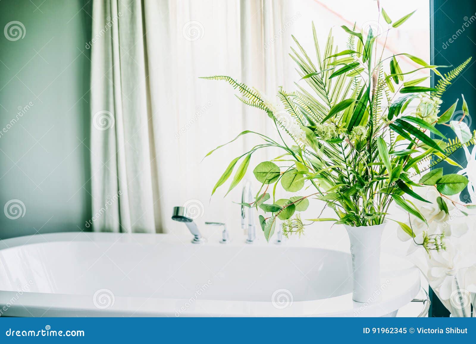 Green Indoor Plants in Vase in Bathroom , Home Interior Stock Image