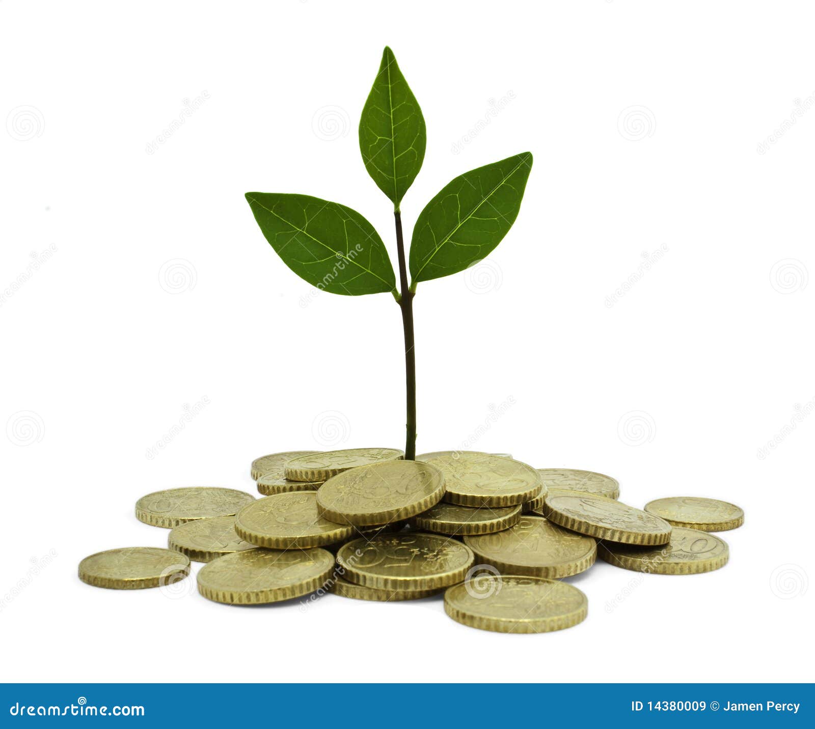 Green Investment stock image. Image of business, green 14380009