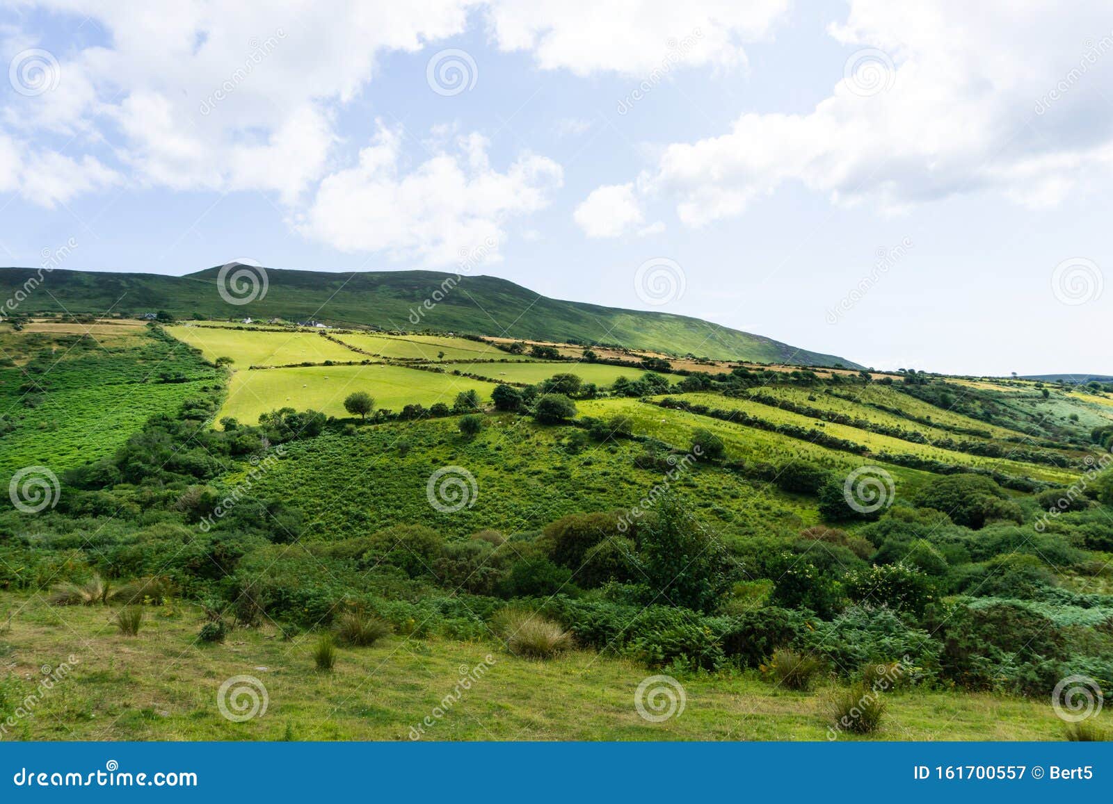 Green Irish Landscape With Hills Stock Image Image Of Country European 161700557