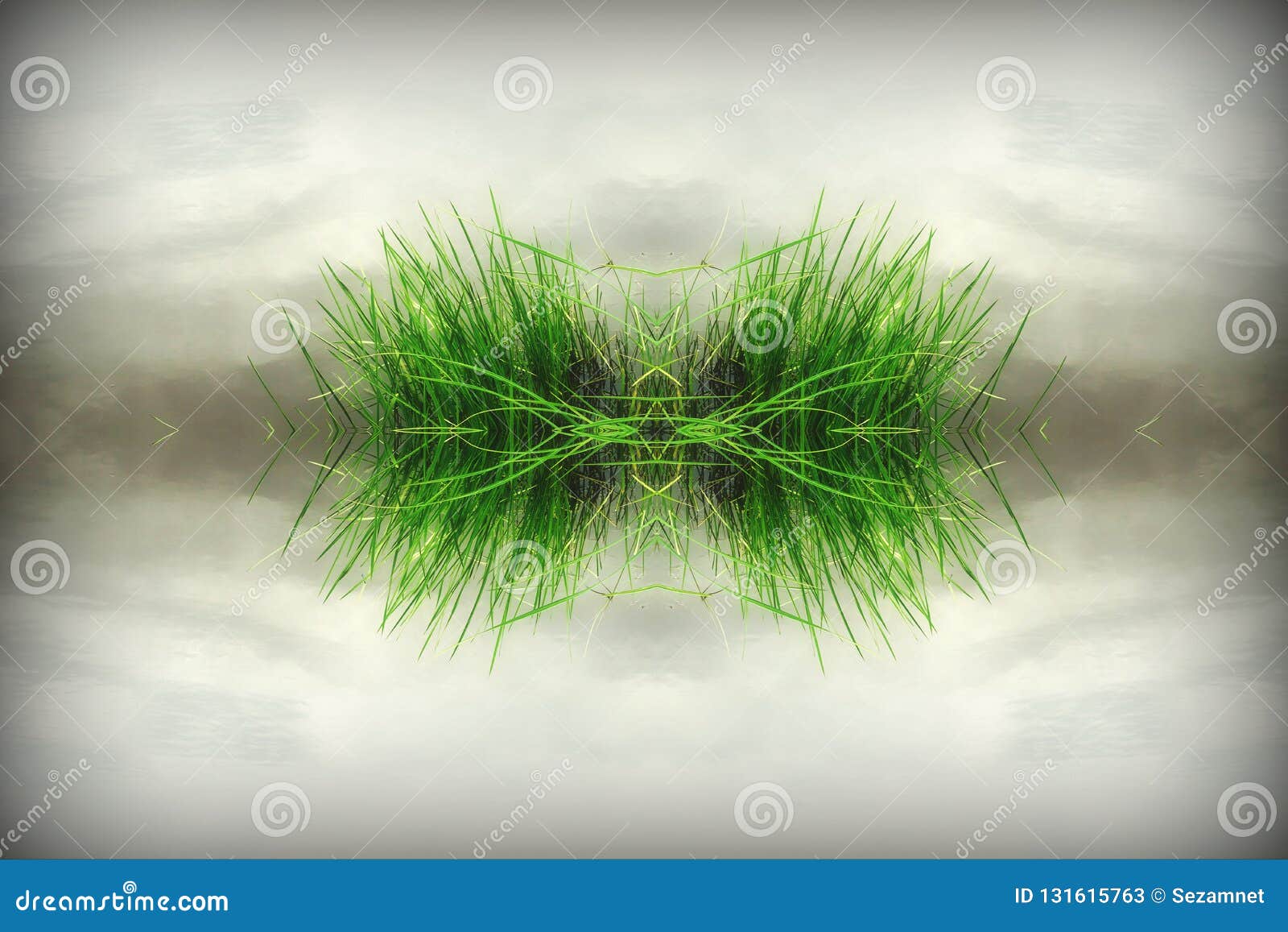 green island in the fog grass reflection in the water