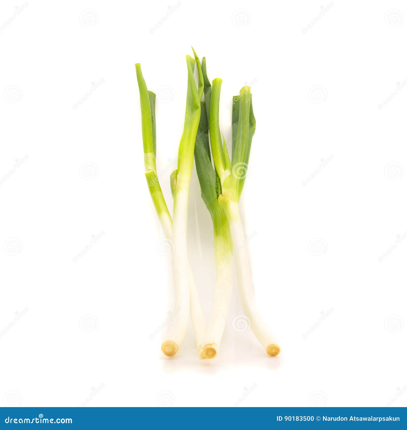 Green Japanese Bunching Onion on White Background Stock Photo Image of vegetable, fresh 90183500