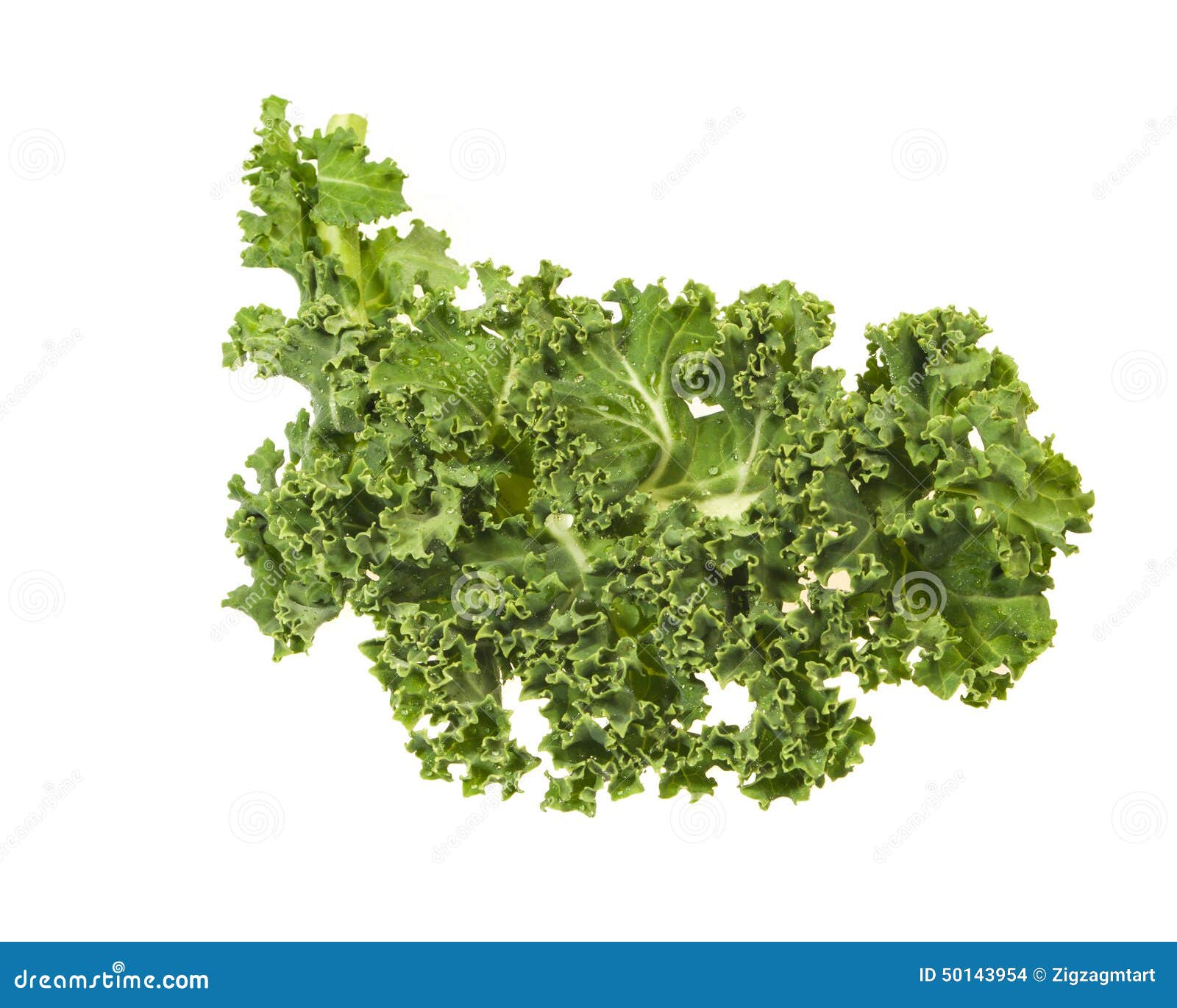 Green Kale Leaves Isolated on White Stock Photo Image of leafy