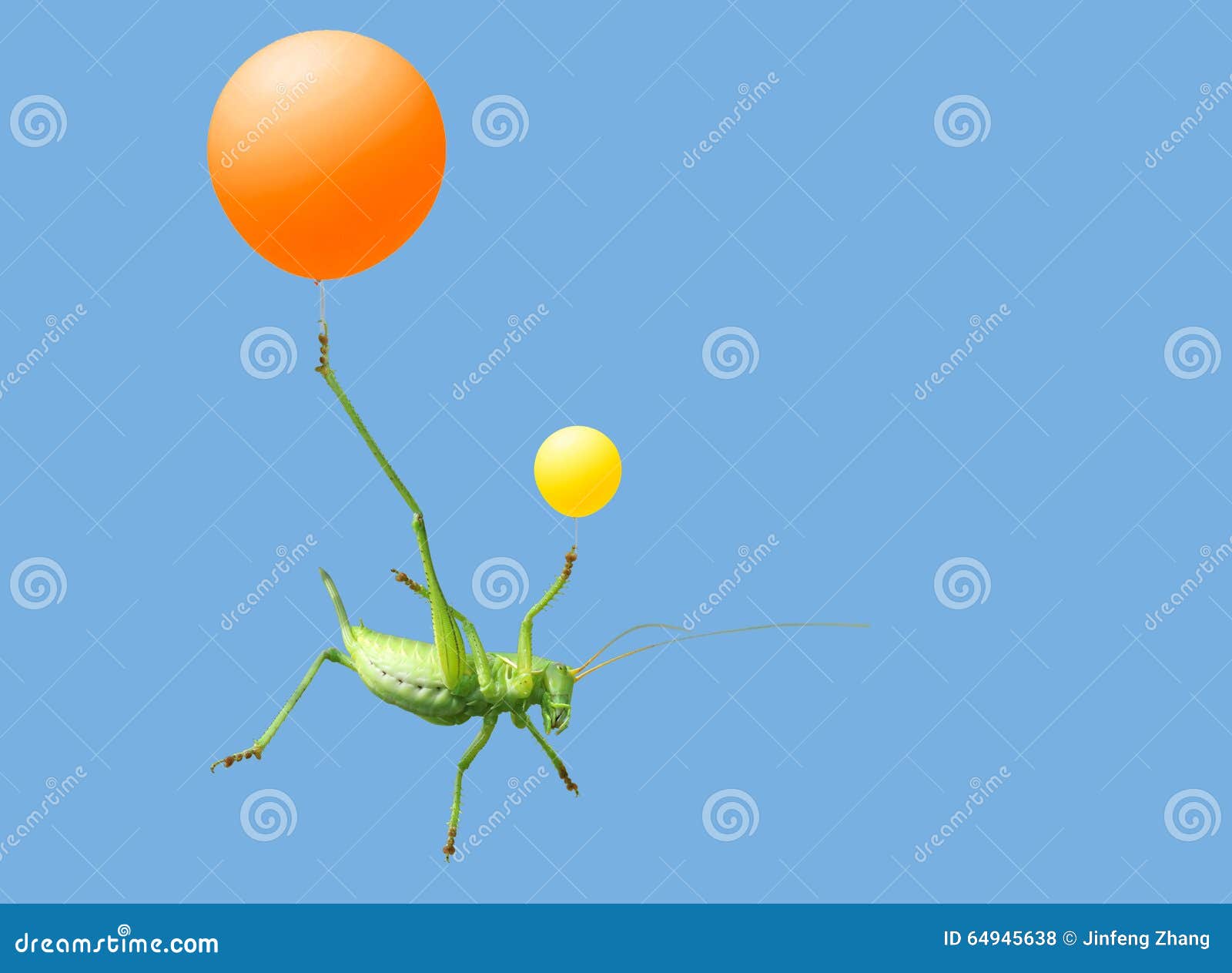 green katydid and airballoon