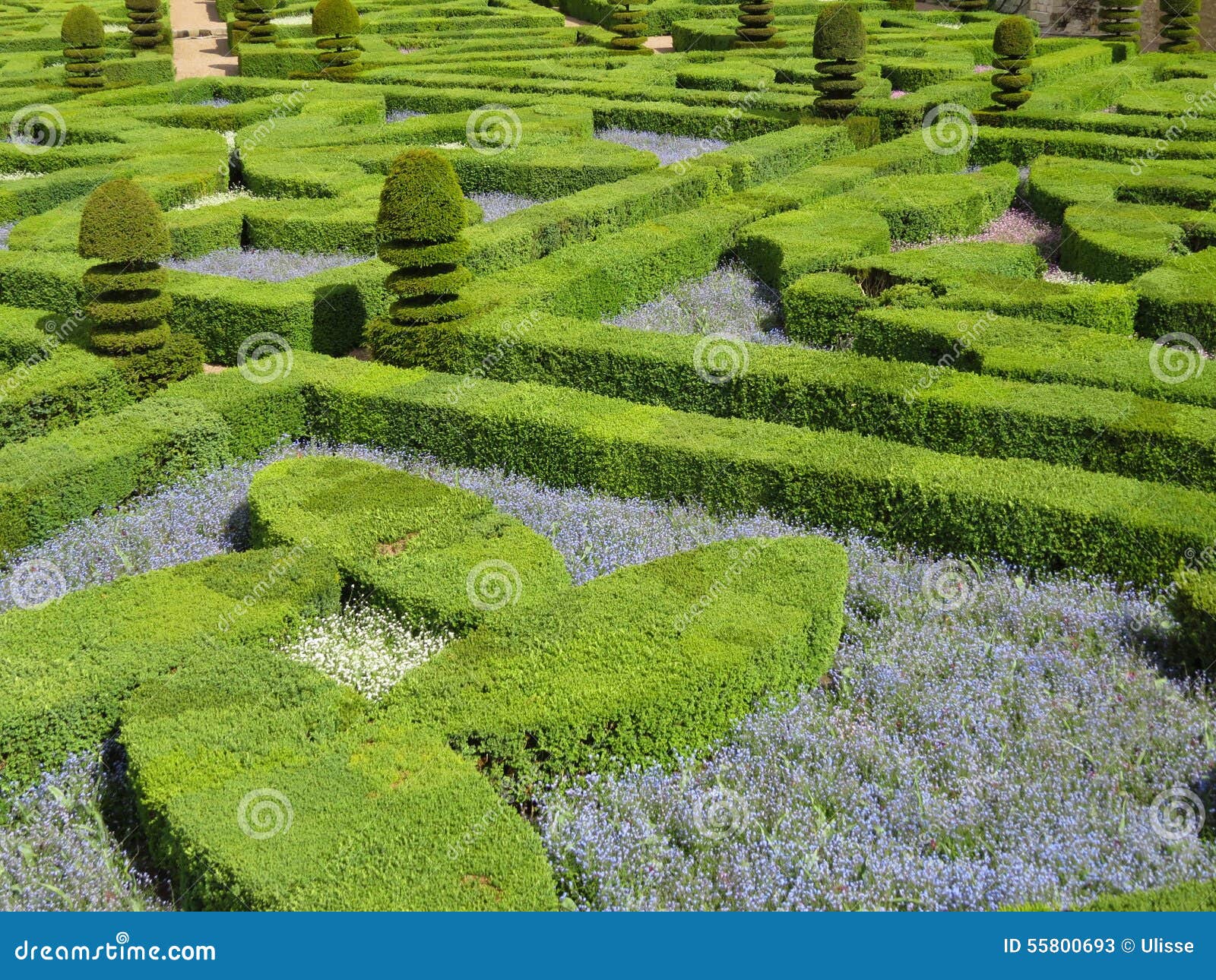 A view of a green labyrinth