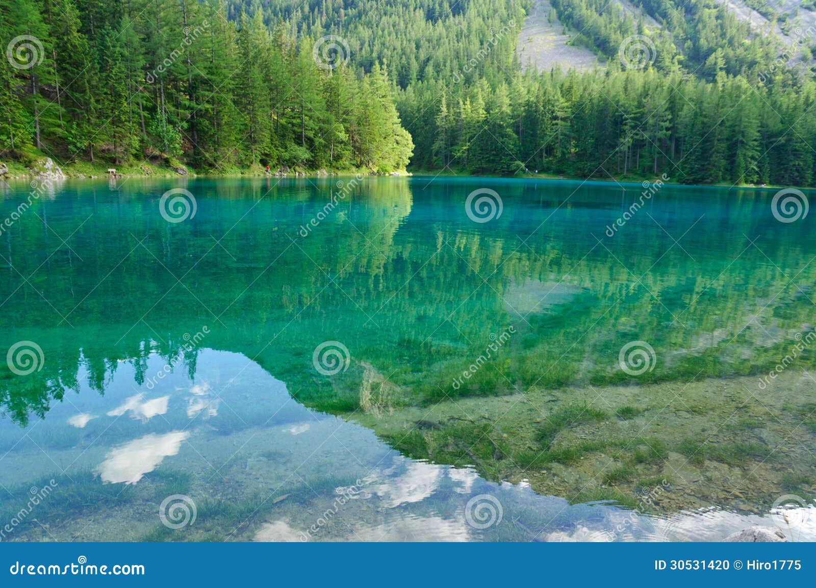 green lake (grÃÂ¼ner see) in bruck an der mur, austria