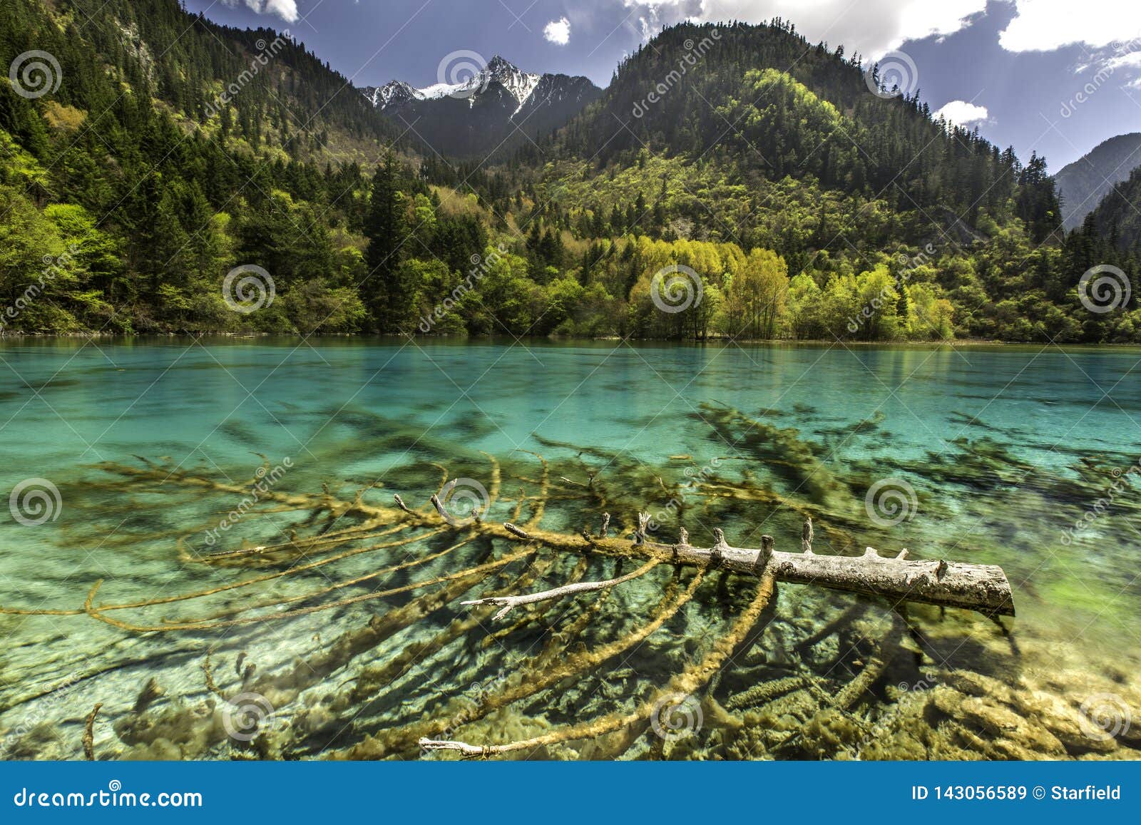 Green Lake In Jiuzhaigou National Park In Sichuan China Stock Image
