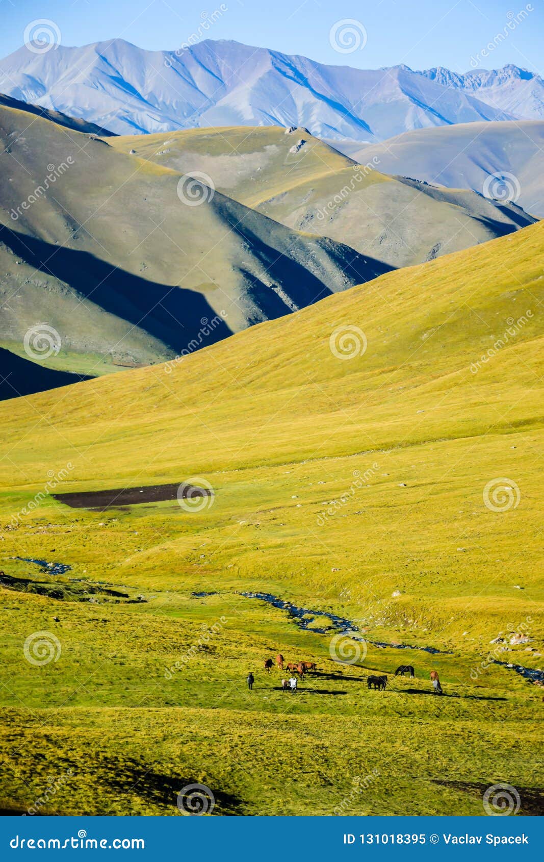 Green Lands Under Mountains With Horses Stock Image Image Of