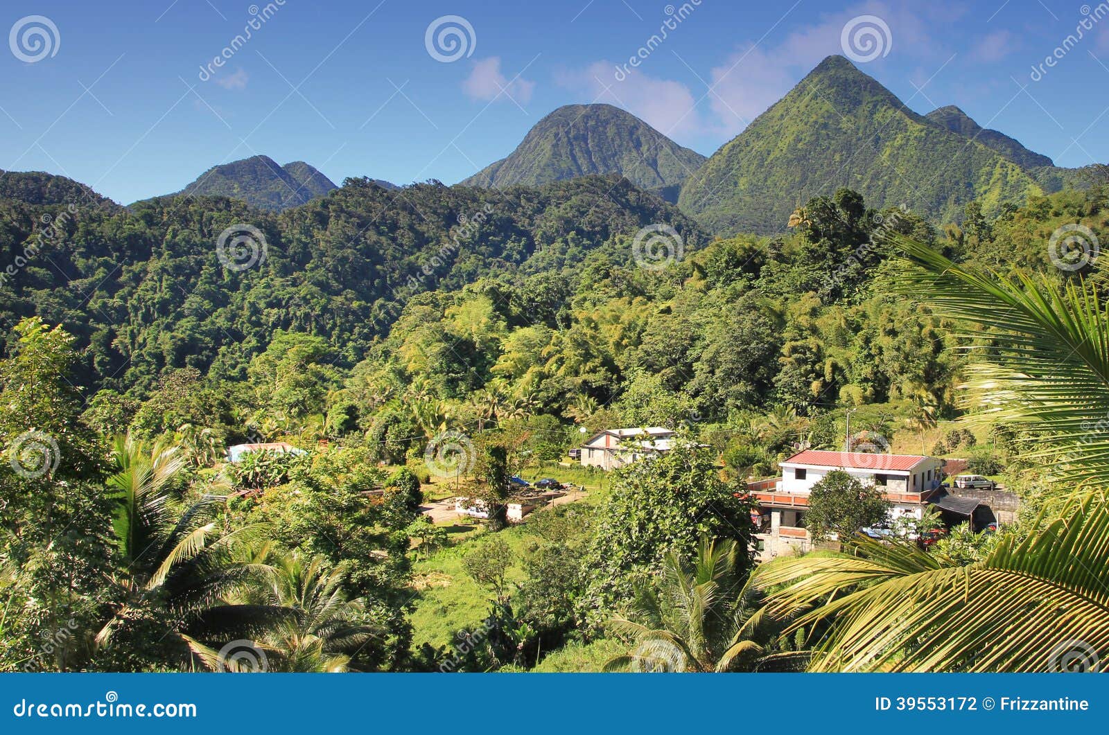 green landscape from the island dominican republic.