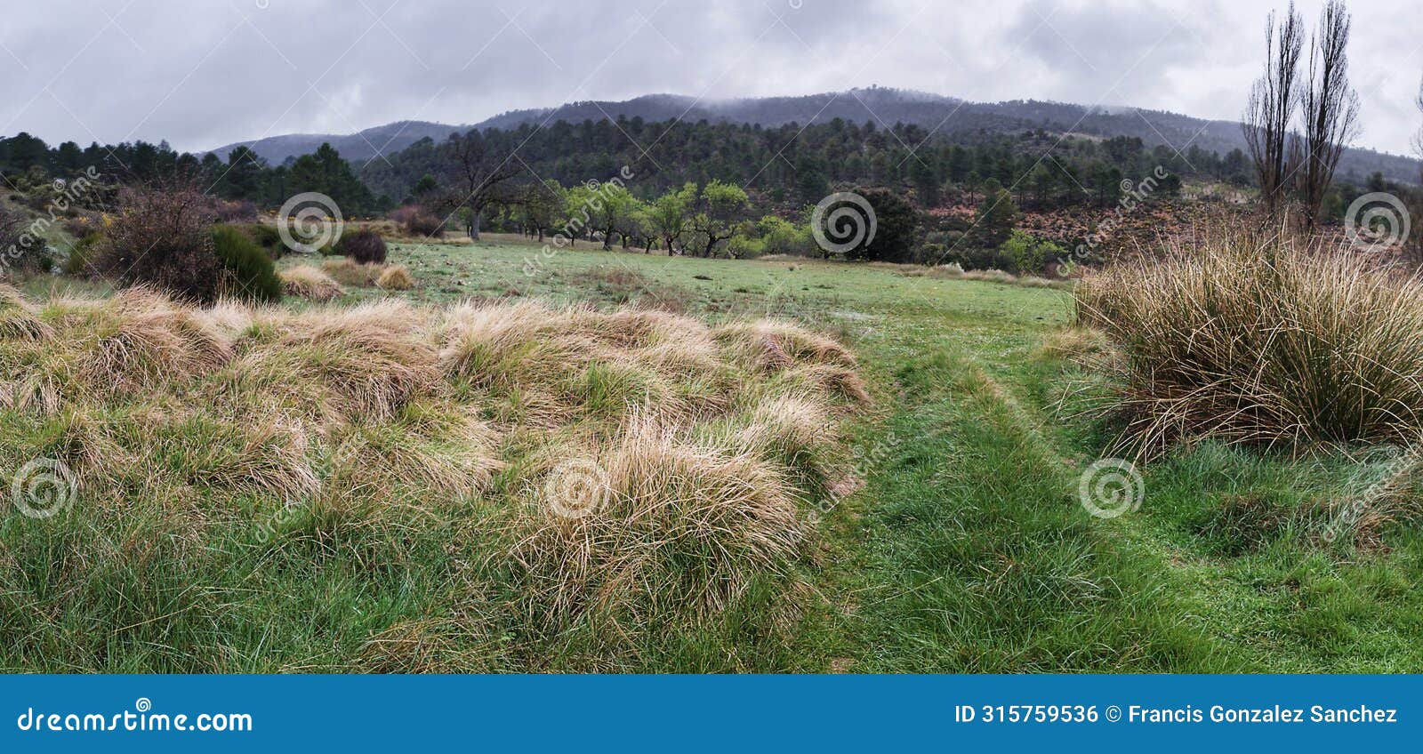 green landscape in the sierra del segura, bogarra, province of albacete in spain