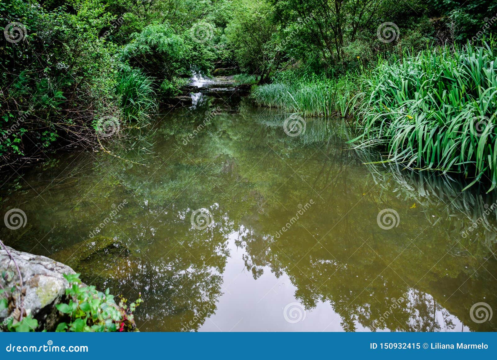 green landscape with waterfall and reflection in the river mourÃÂ£o, anÃÂ§os - sintra, portugal