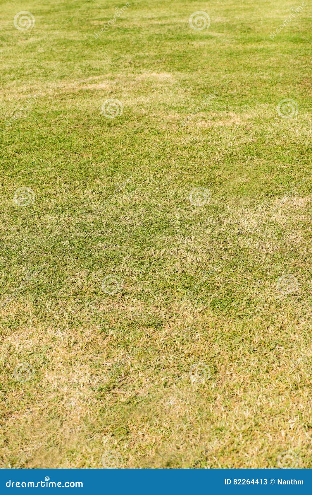 Green Lawn Artificial Grass Stock Image Image of greenery, lawn