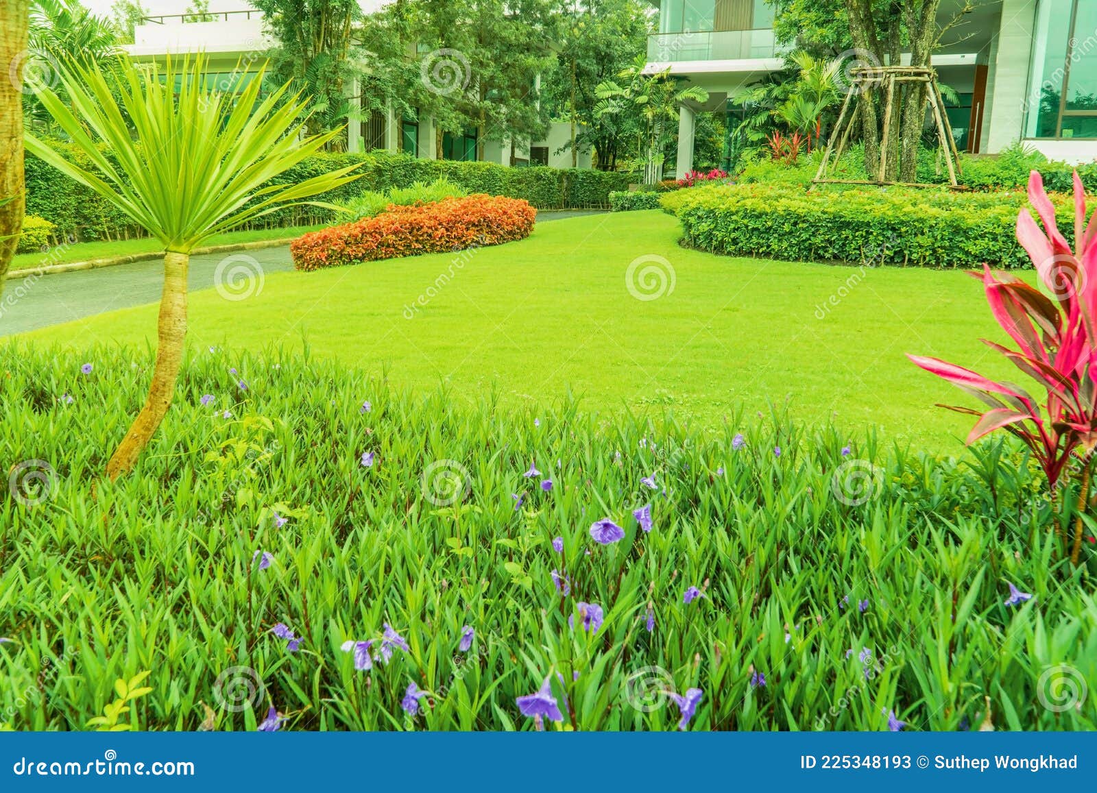 Flowers in the Garden, Modern House with Beautiful Landscaped Front Yard, Lawn and Garden Blur Background. Stock Image - Image of environment, fresh: 225348193 Flowers In The Garden, Modern House With Beautiful Landscaped Front Yard, Lawn And Garden Blur Background. Stock Image - Image Of Environment, Fresh: 225348193