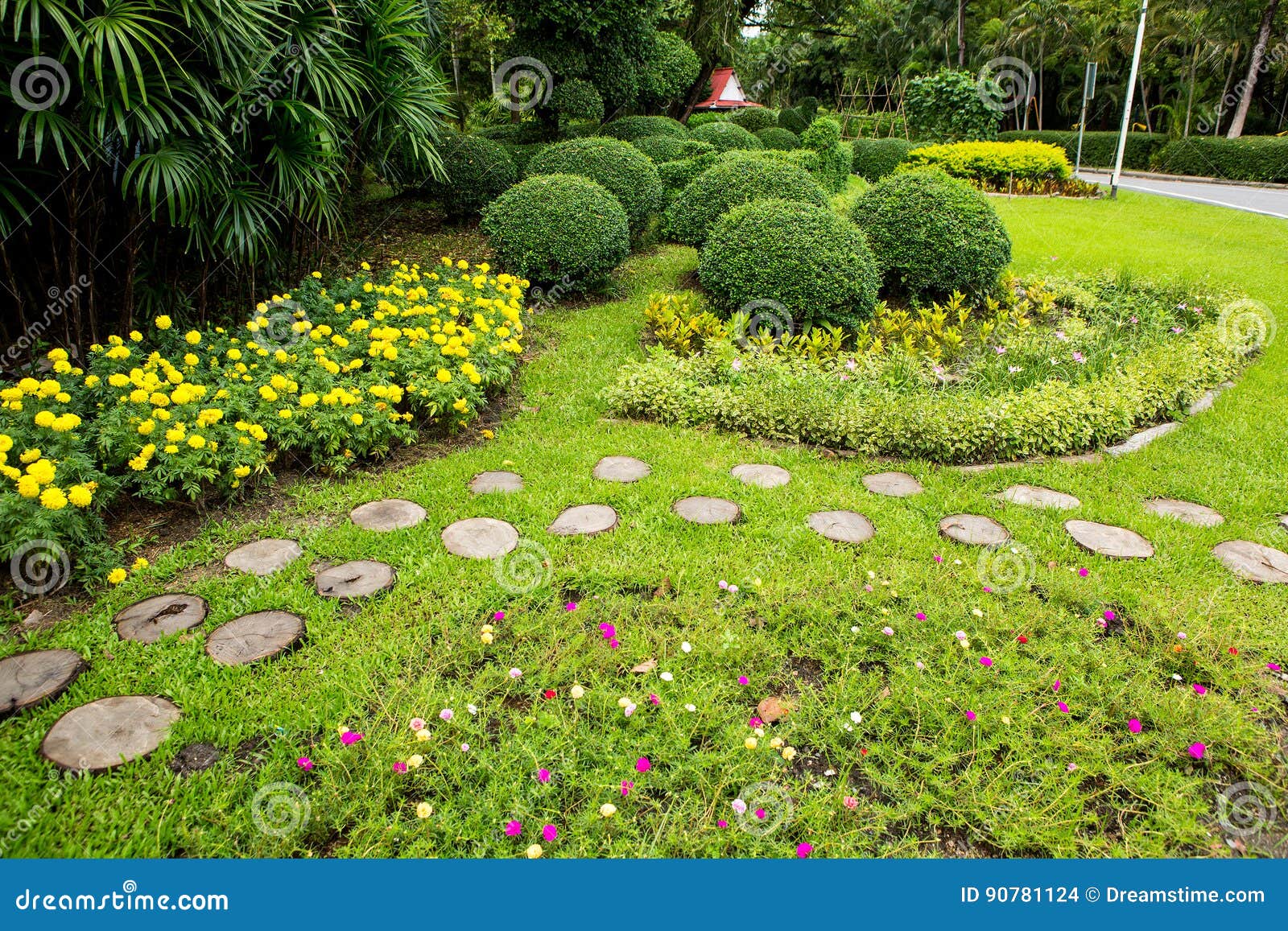 Green Lawn and Trees Park stock photo. Image of large 90781124