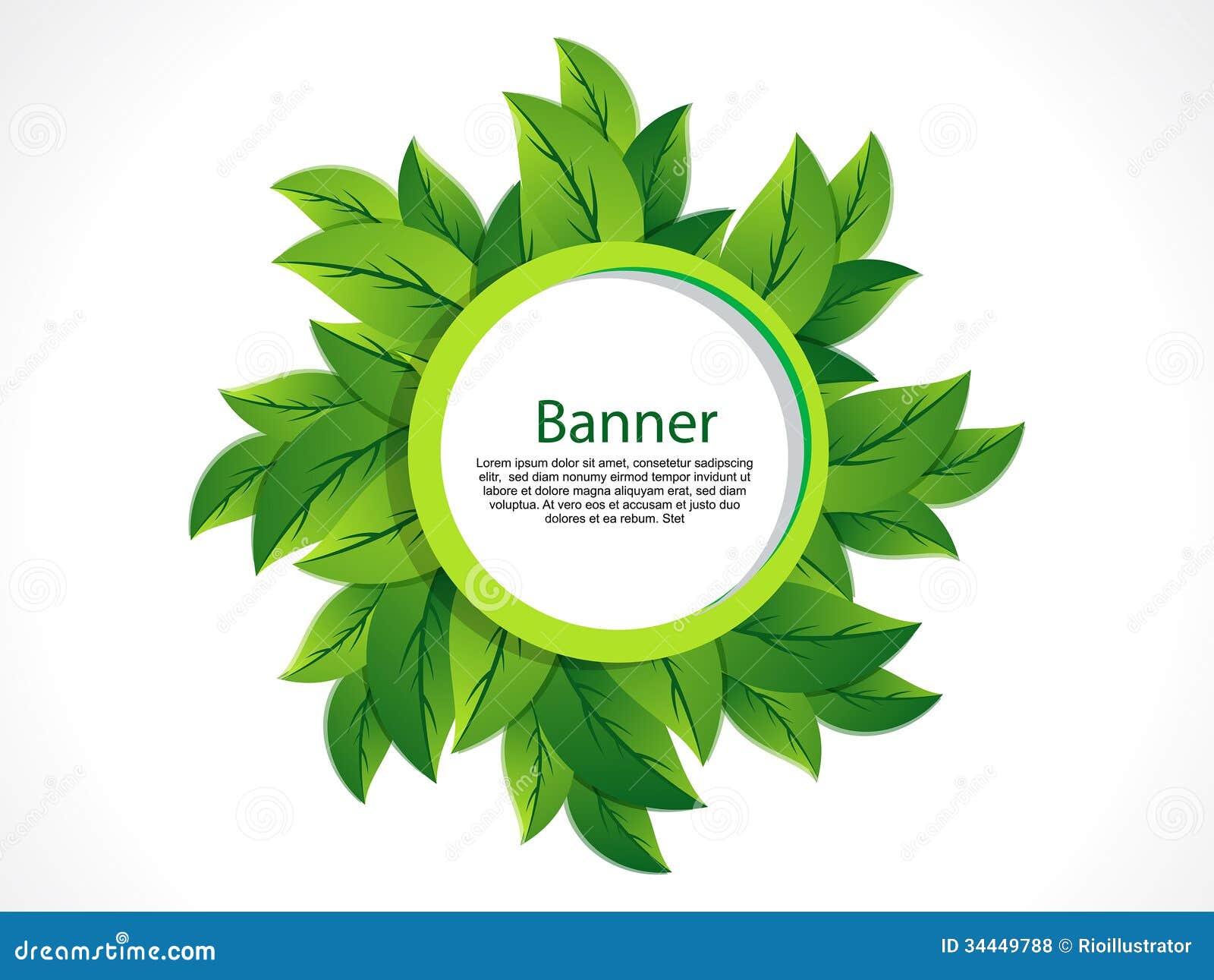  Green Leaf Banner  stock vector Image of herbal freshness 