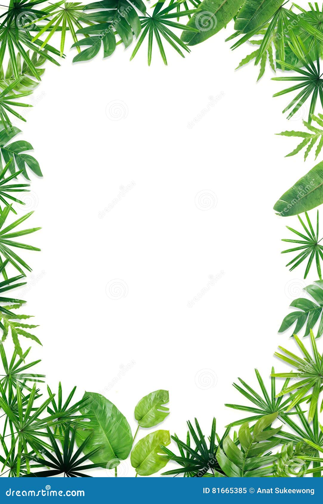 Green Leaf Border Background Stock Image Image Of Bamboo Frame 81665385