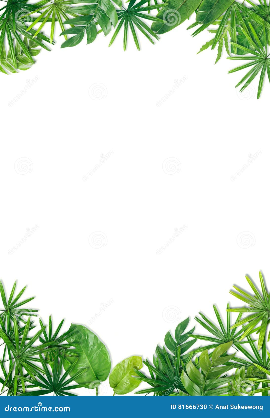 Green Leaf Border Background Stock Photo - Image of botany, background ...