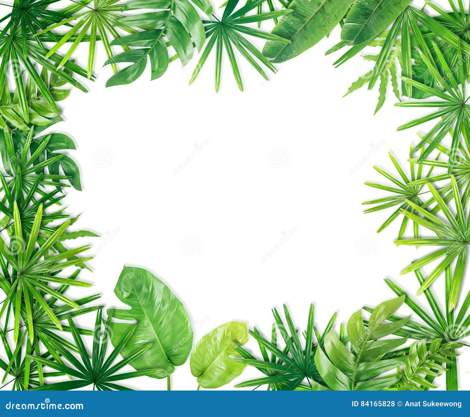 Green Leaf Border Background Stock Photo - Image of green, bamboo: 84165828