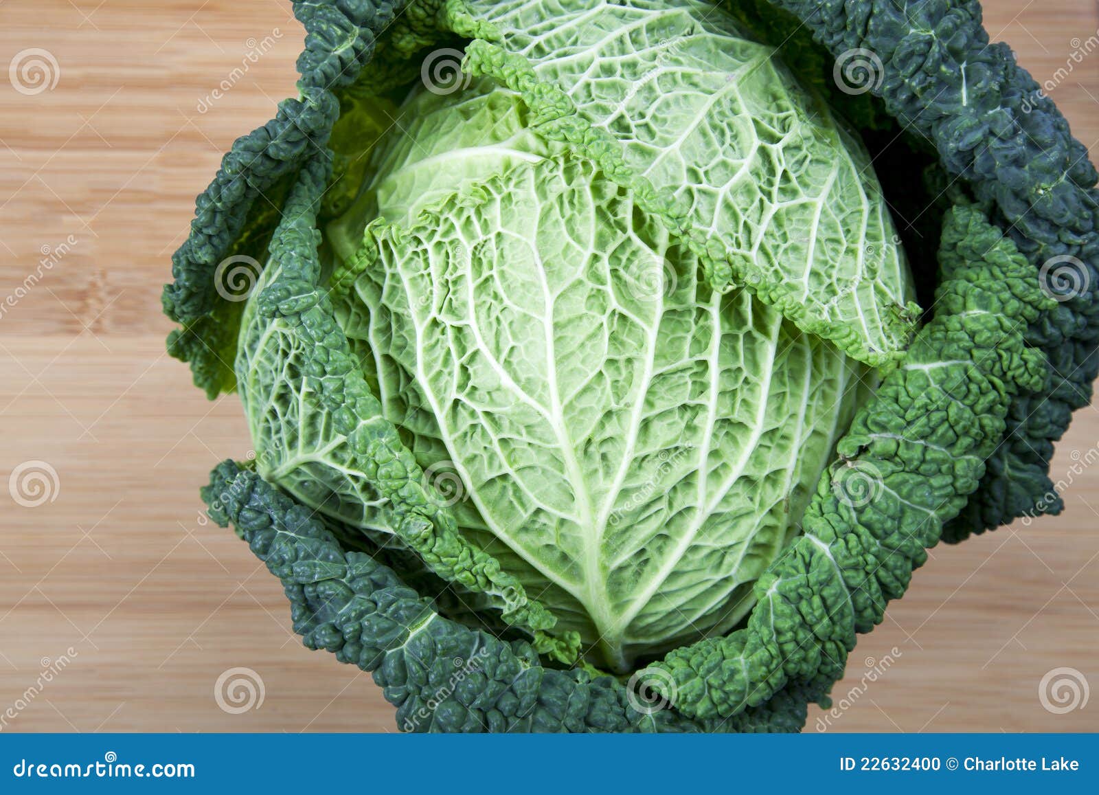 Green Leaf Cabbage stock photo. Image of vegetable, leaves 22632400