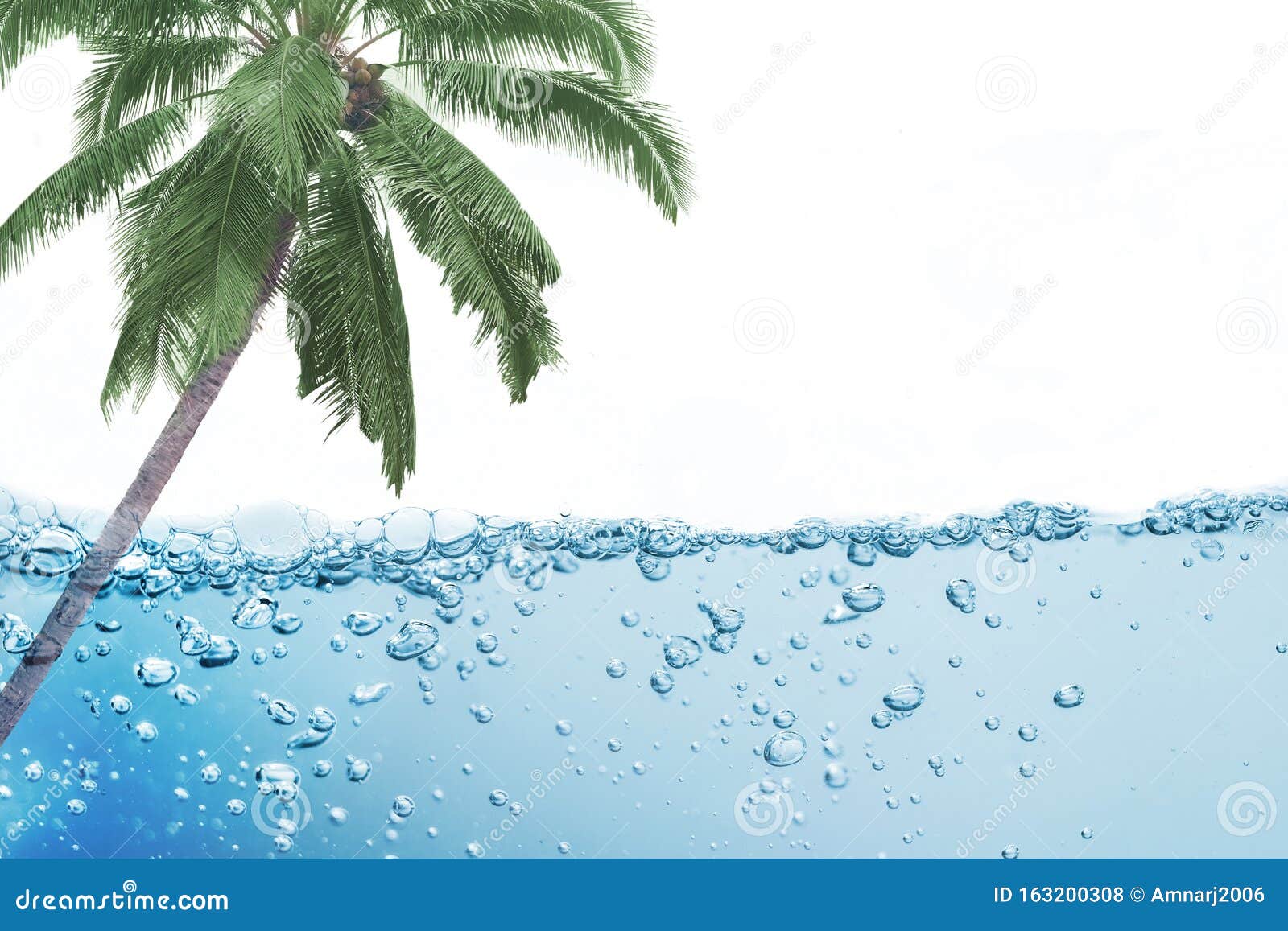 Coconut Tree Water Requirements / Fertilizer For Coconut Tree How And When To Fertilize