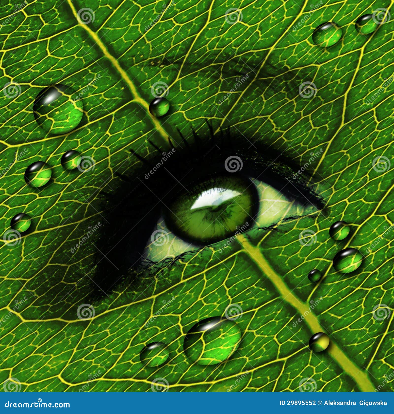 Green leaf eye stock photo. Image of spring, color, human 29895552