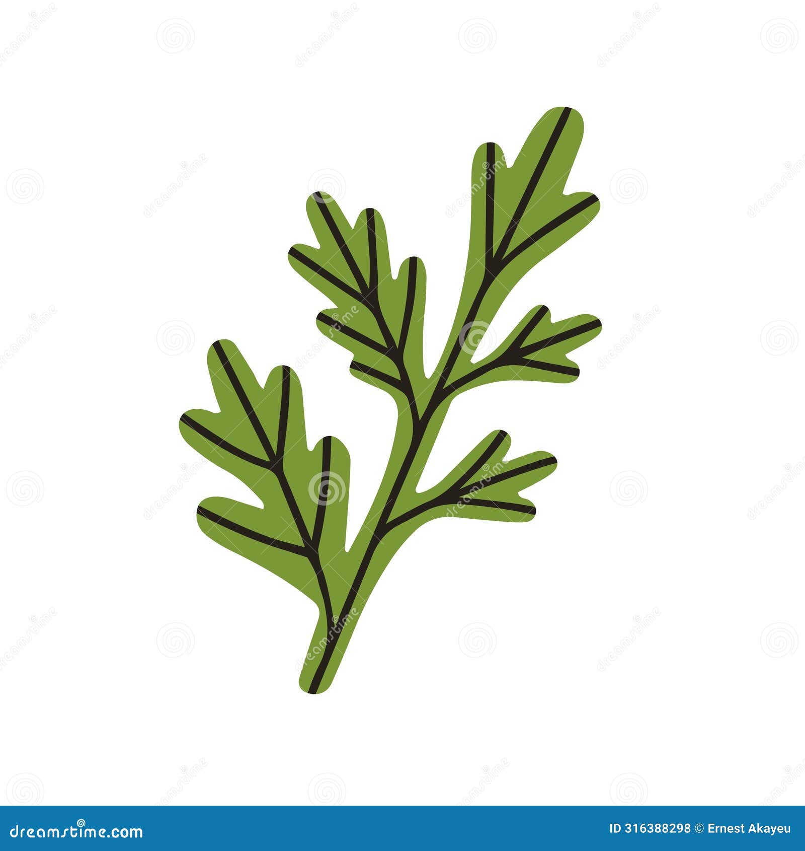 green leaf. floral botanical decor, natural greenery. leaves, fresh plant, summer flora, parsley. abstract organic