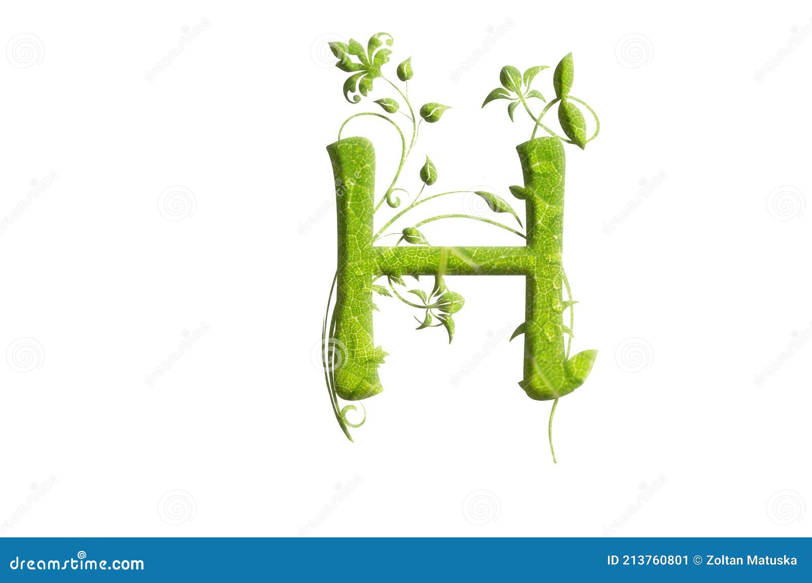 Green Leaf Letter H, Garden Eco Friendly Alphabet Stock Image - Image ...