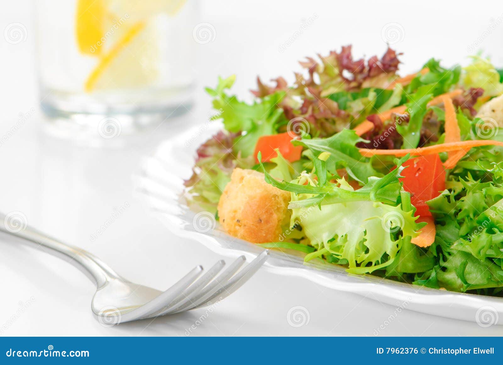 Green Leaf Salad stock photo. Image of table, cucumber 7962376