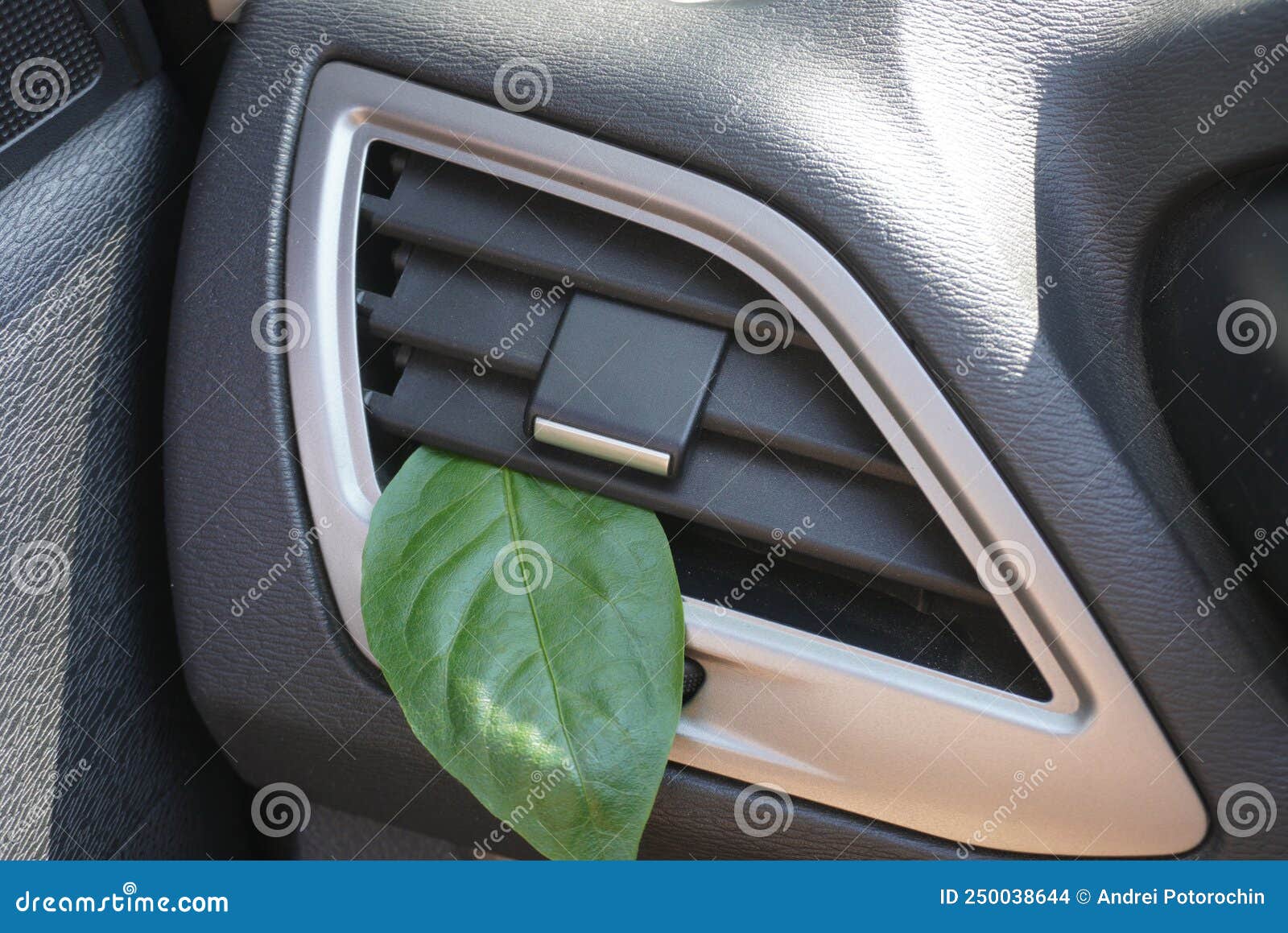 Green Leaf in the Ventilation Grille of the Car, As a Symbol of