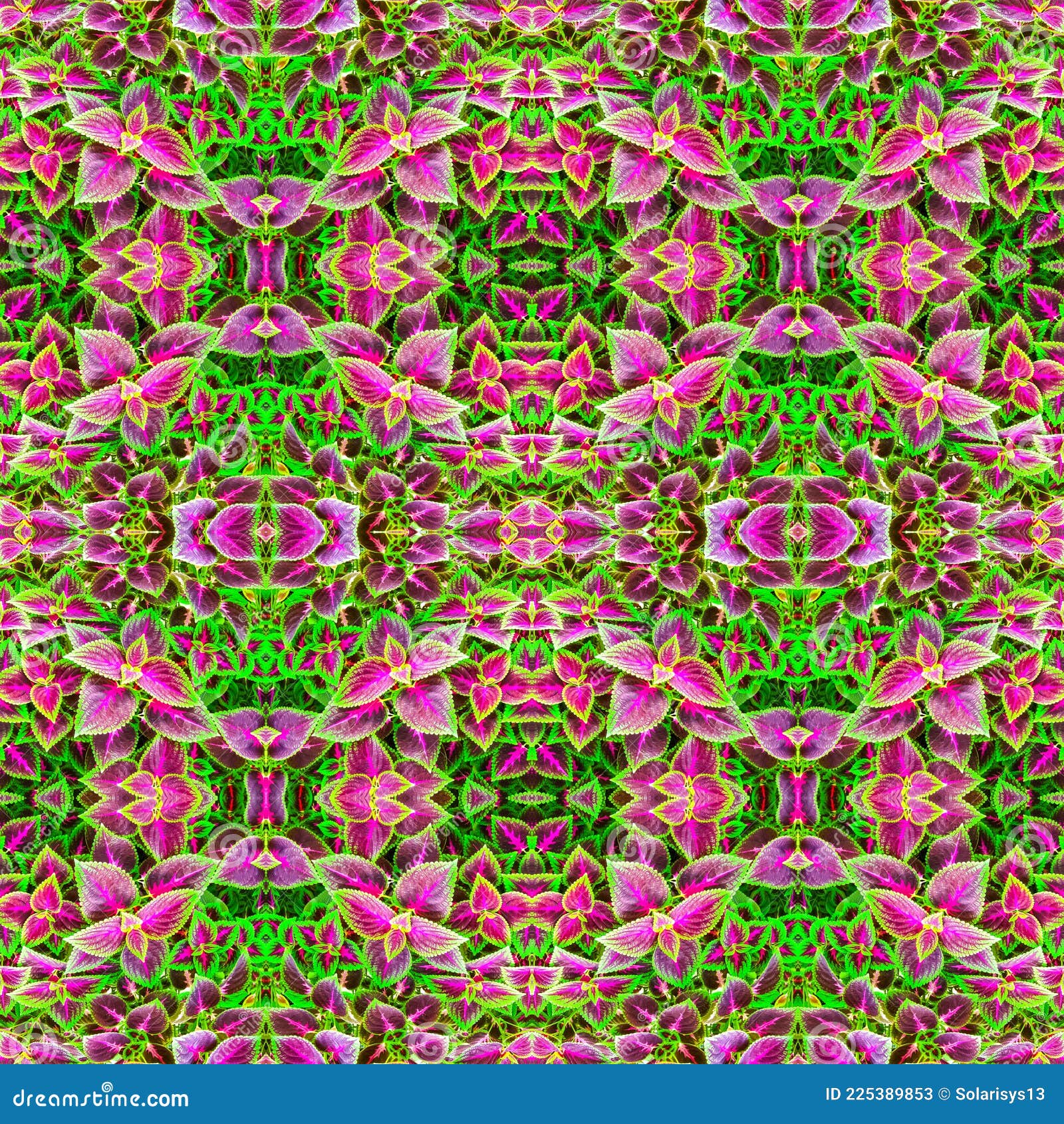 My Image 13