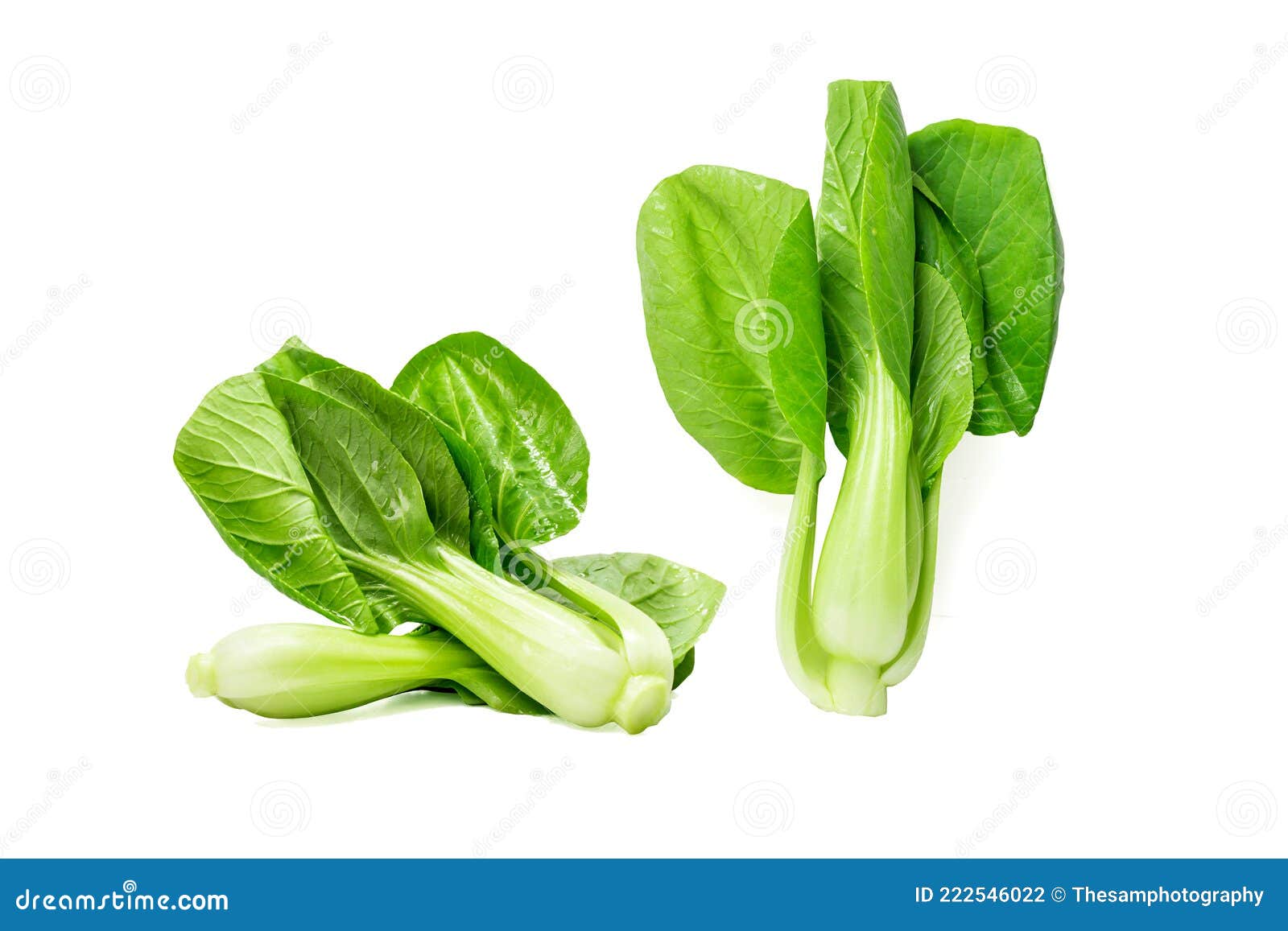Green leafy vegetables stock photo. Image of agriculture 222546022