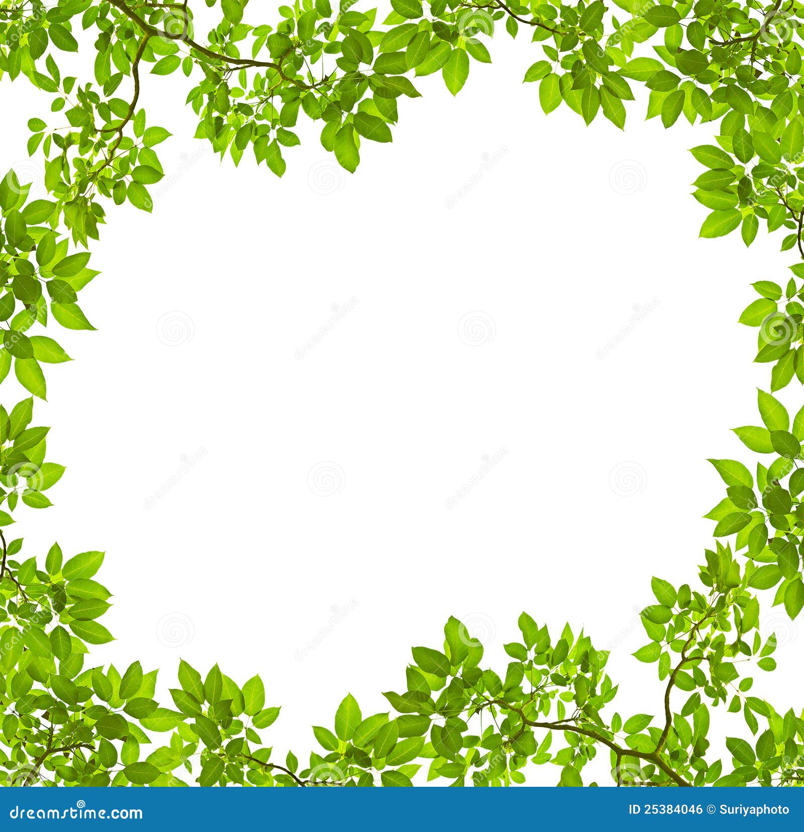 Green Leave Frame Royalty Free Stock Image - Image: 25384046