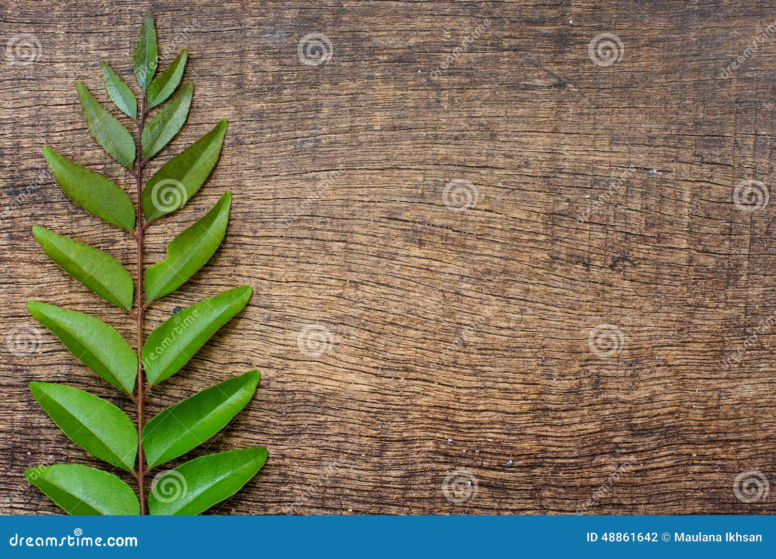 Green Leaves on the Background Wood Texture Stock Photo Image of