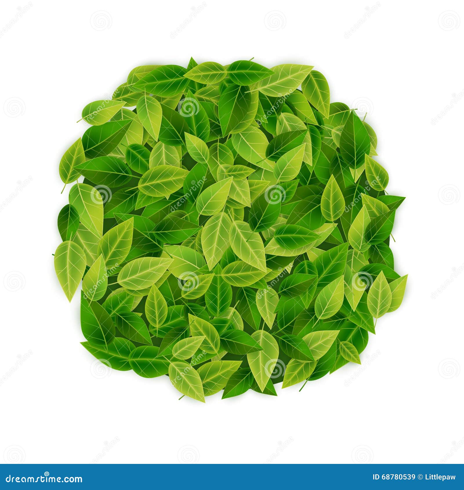  Green  Leaves  Banner  Background Vector Eco Organic Stock 