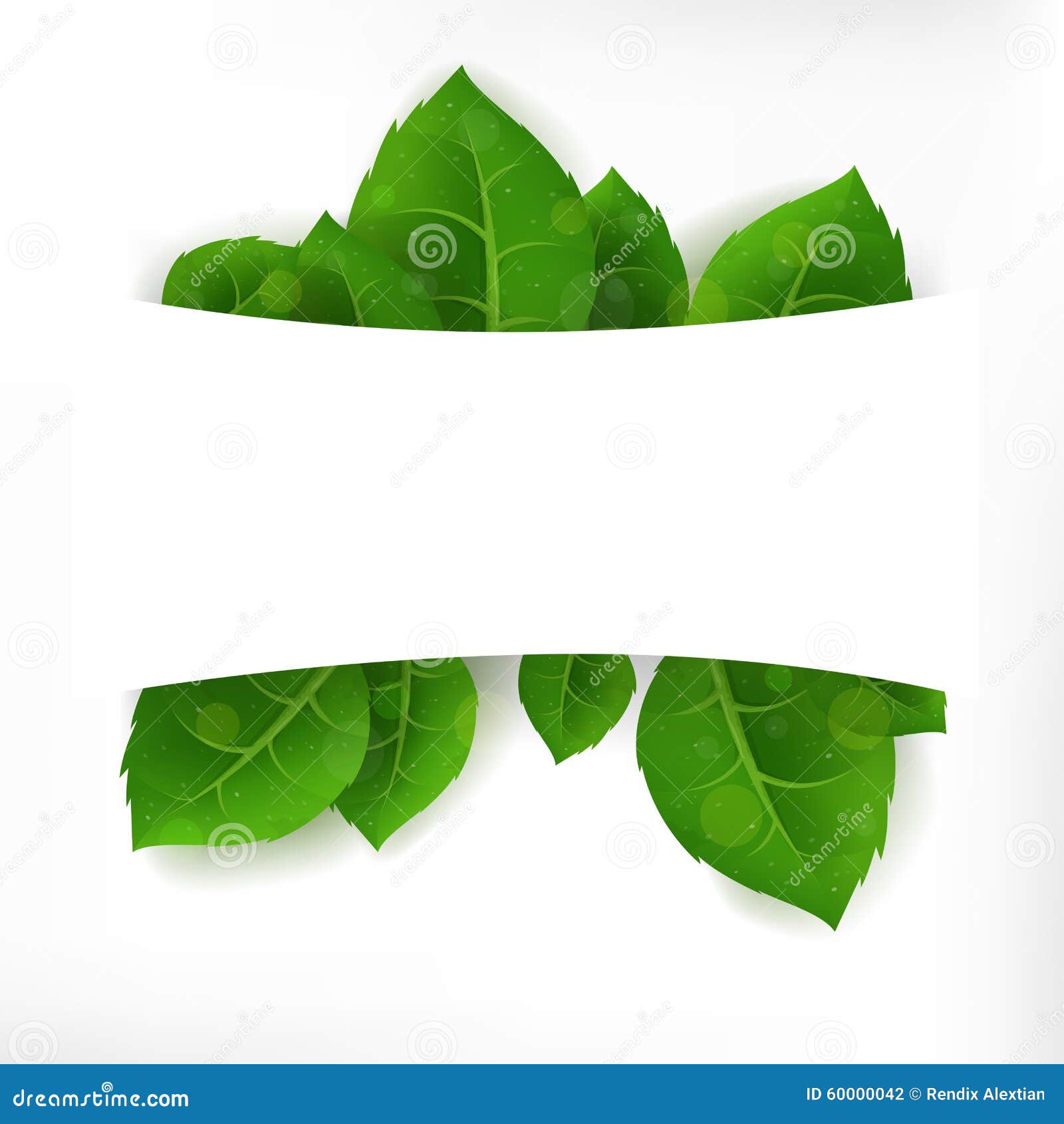  Green  Leaves  Banner  Stock Vector Image 60000042