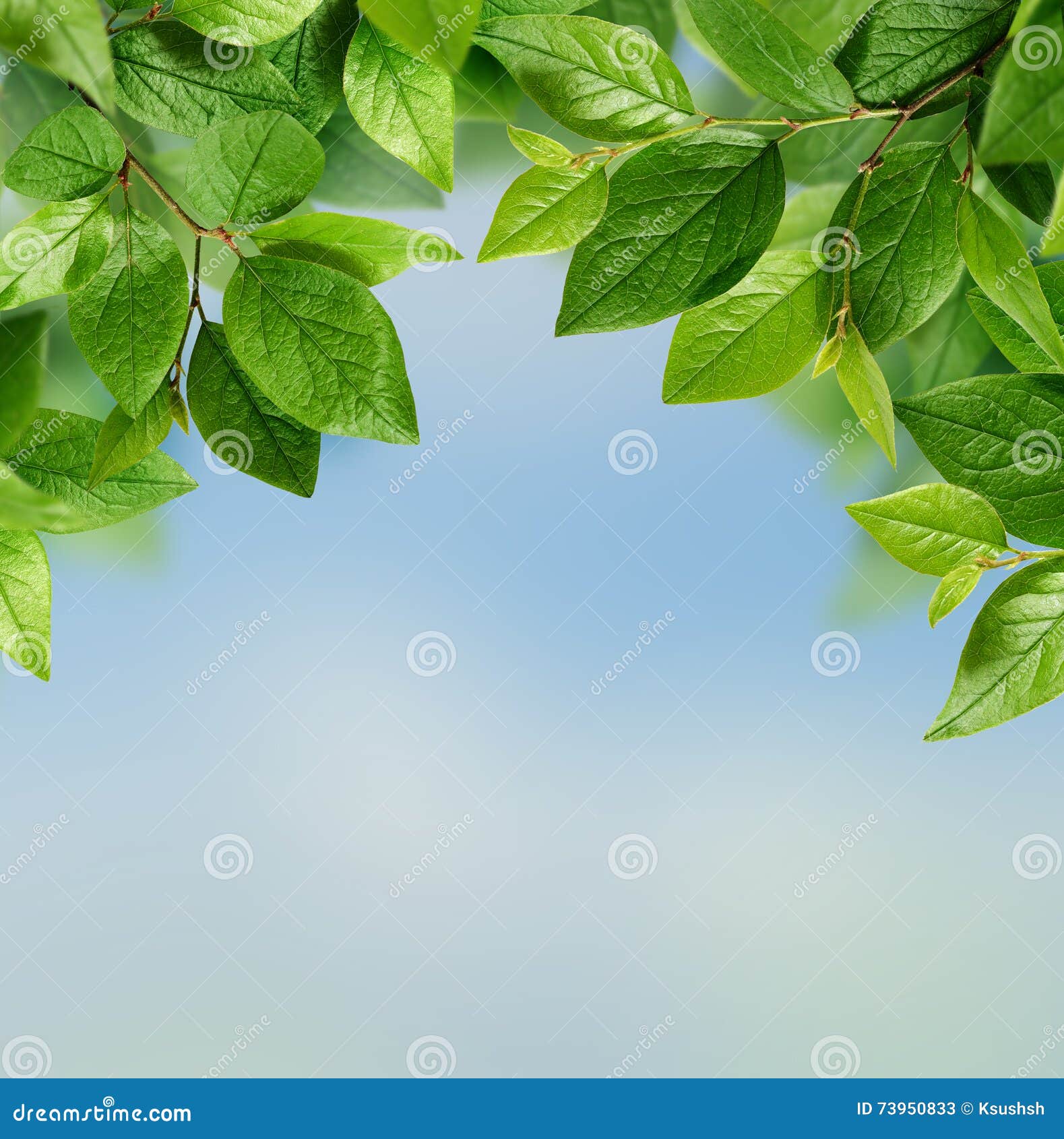 Green leaves stock image. Image of background, backgrounds 73950833