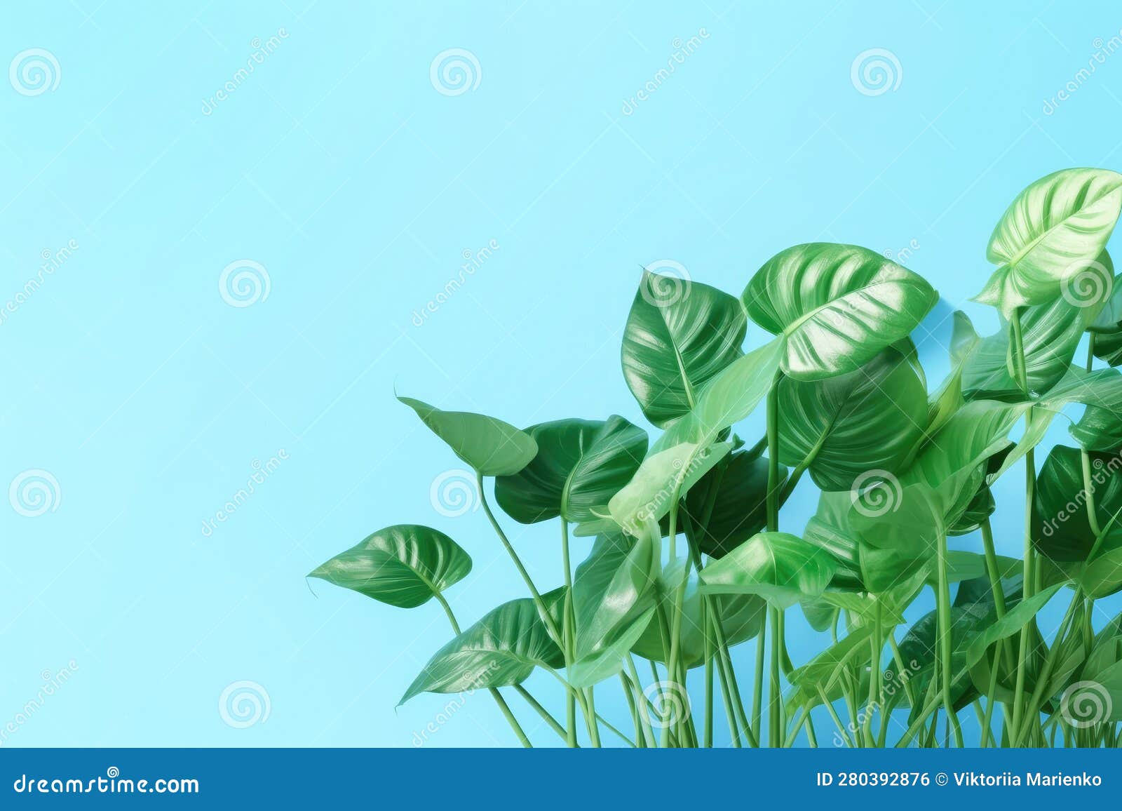 Green Leaves on a Blue Background. Copy Space Stock Illustration