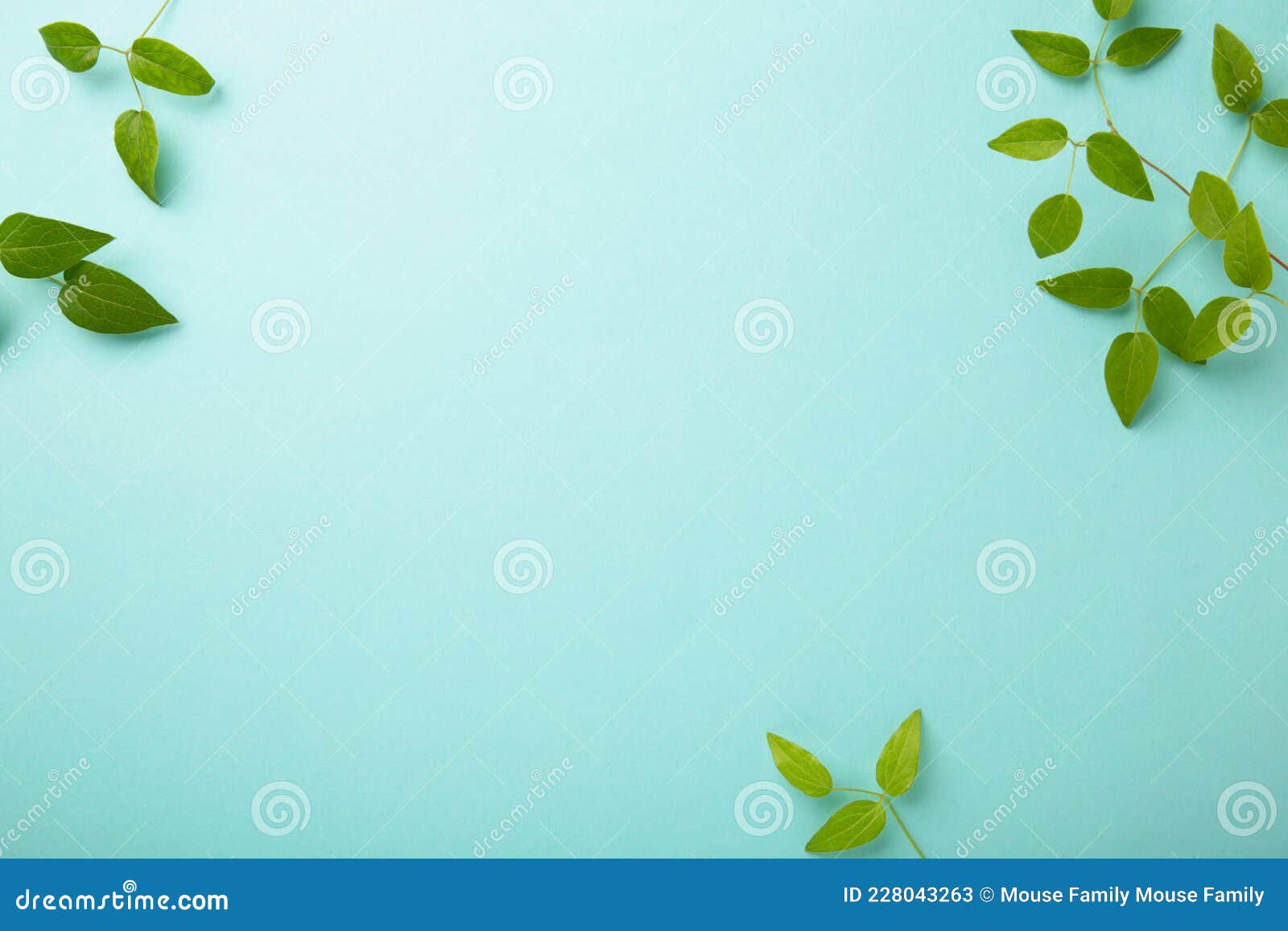Green Leaves on Blue Background with Copy Space Stock Image Image of
