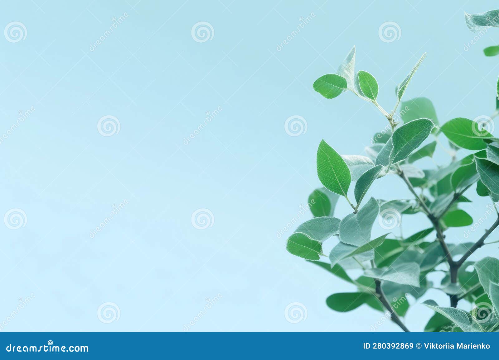 Green Leaves on a Blue Background. Flatly. Copy Space Stock