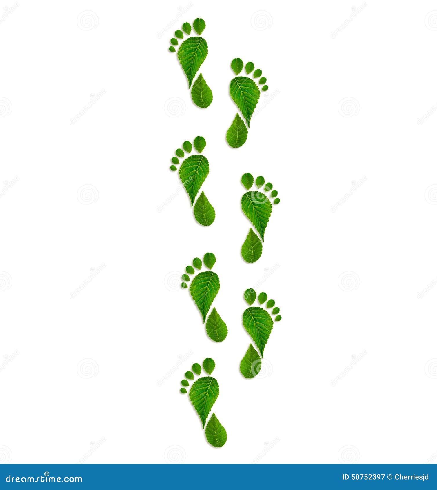 green leaves footprint