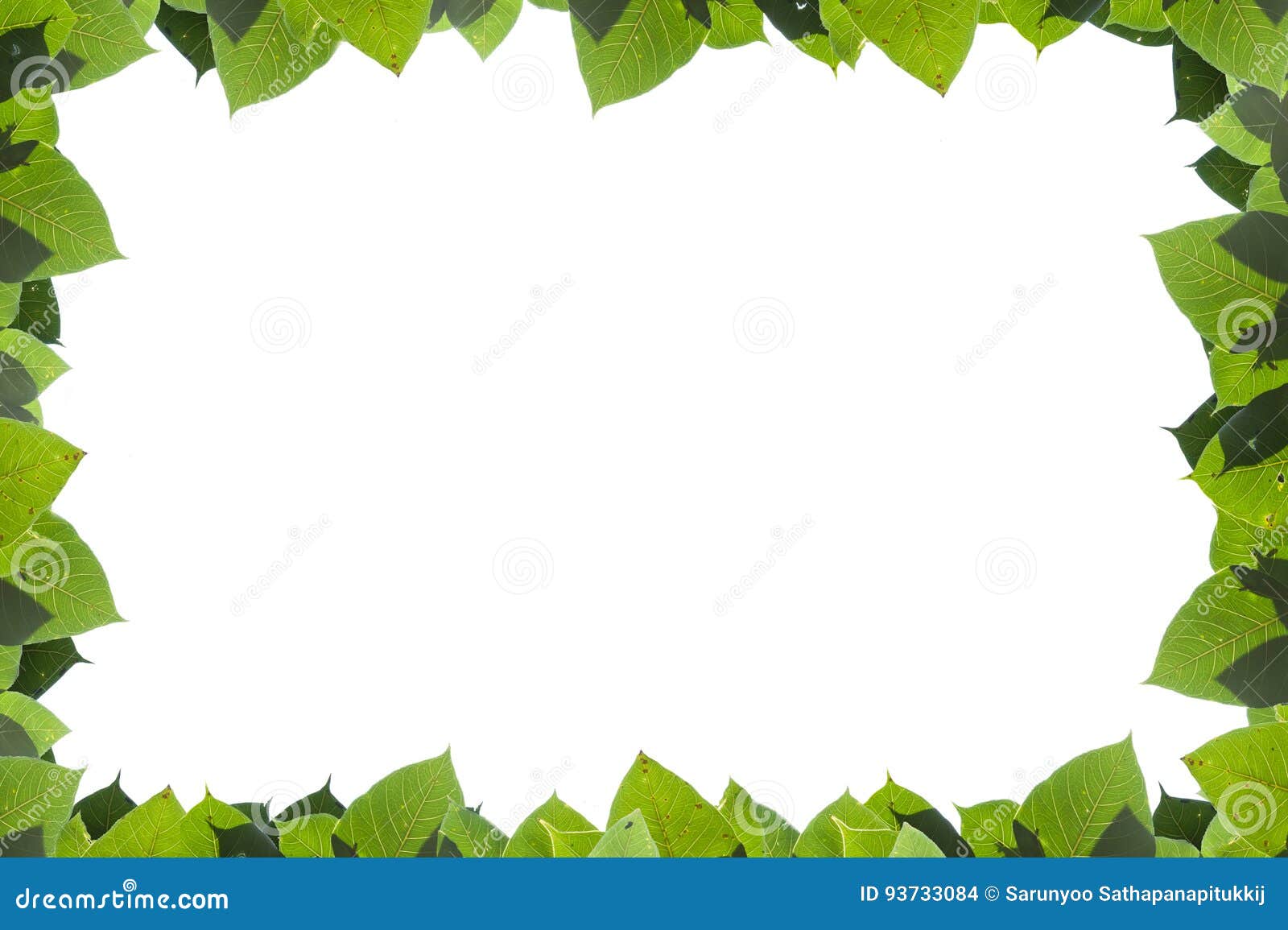 Green Leaves Frame Isolated on White Background Stock Illustration ...