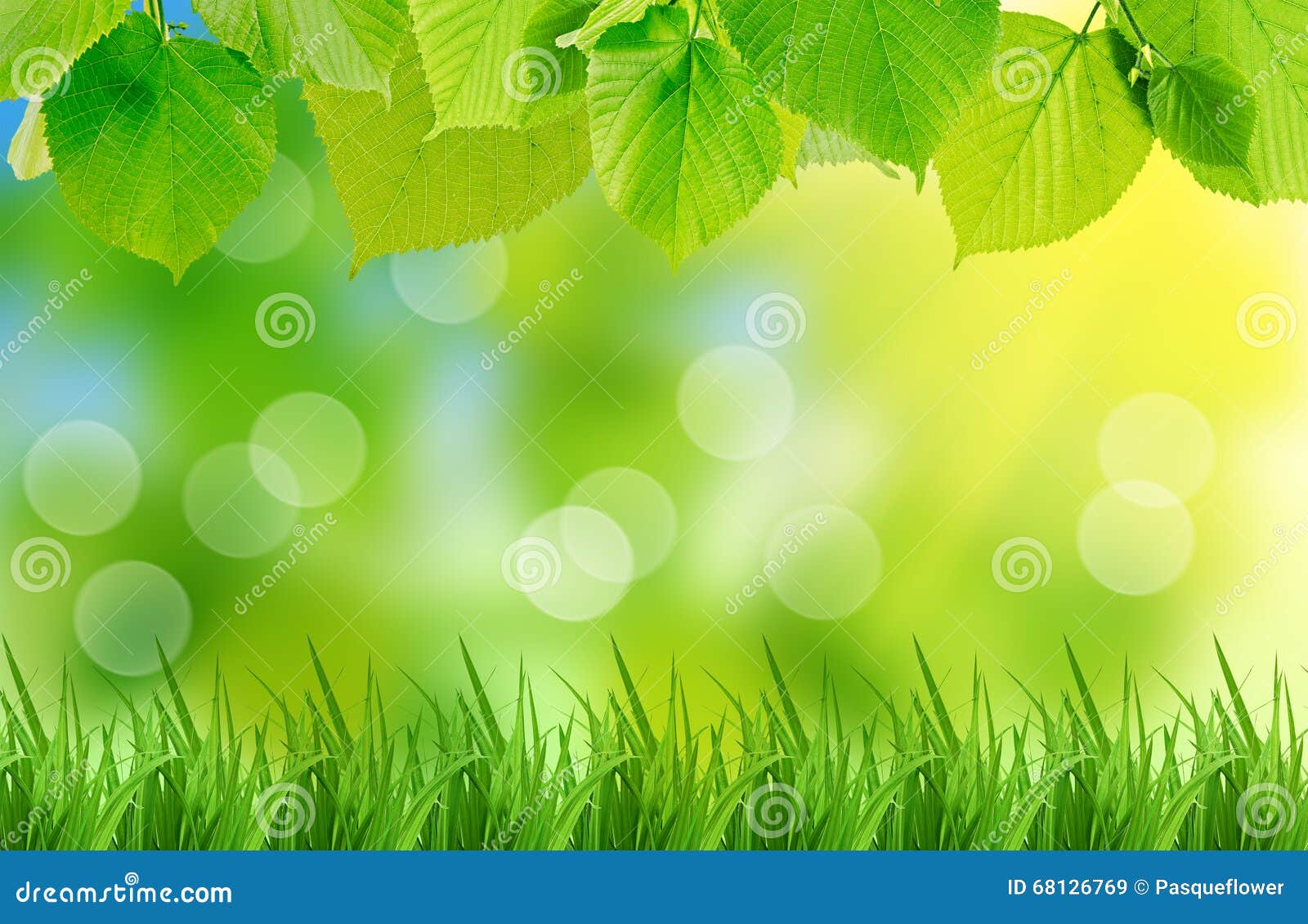 Green Leaves and Grass on the Natural Background Stock Image Image of