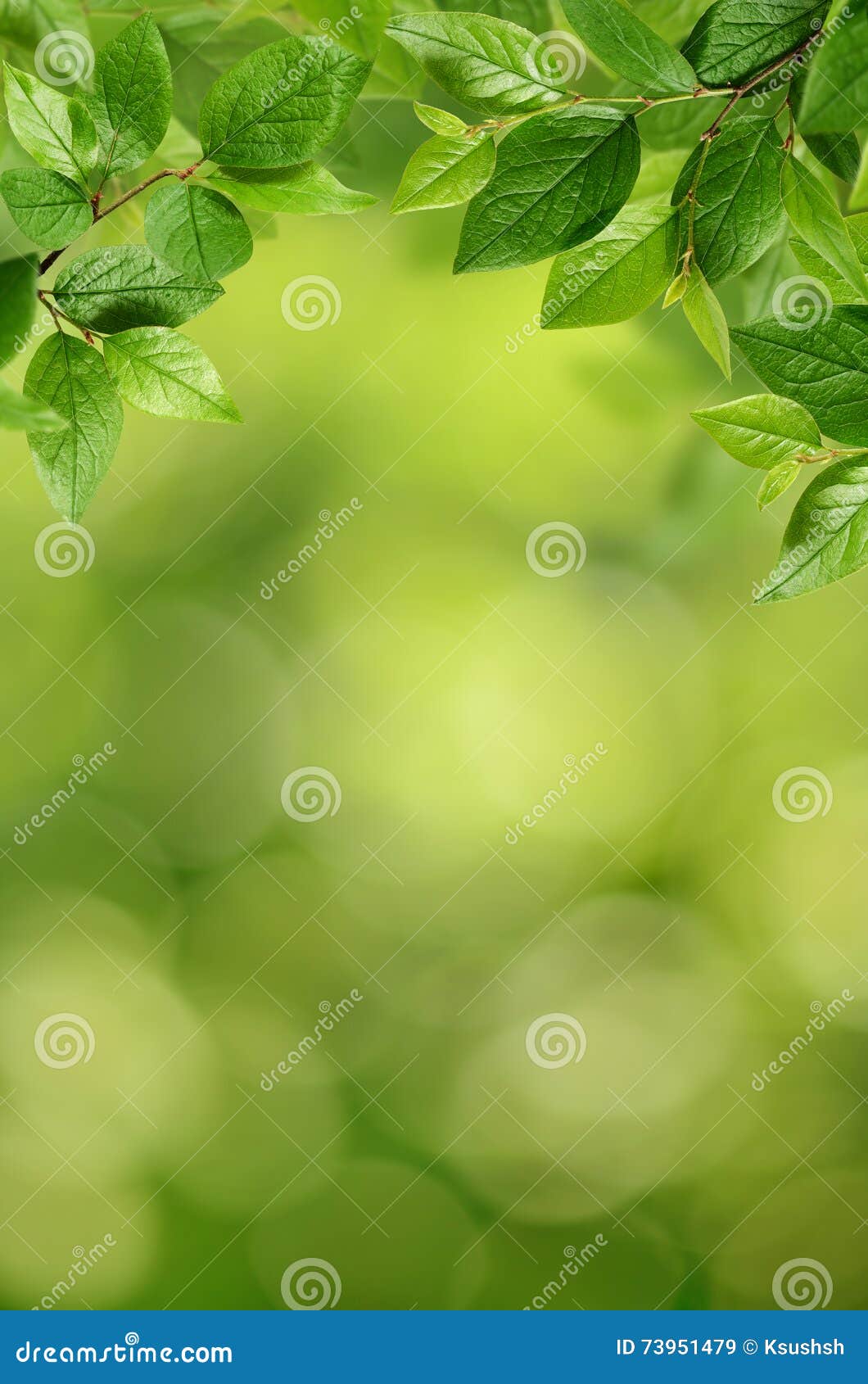 Green Leaves on Green Background Stock Image Image of magic, lights