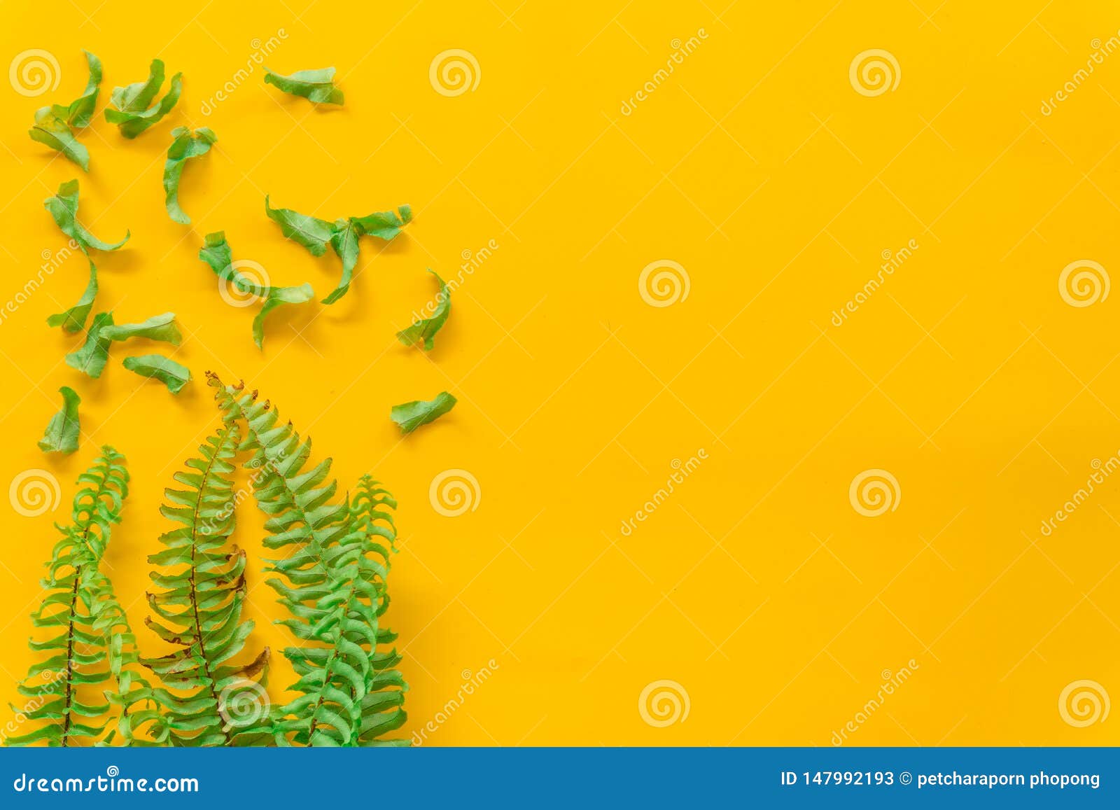 Green Leaves Minimal on Yellow Background Stock Image Image of eraser