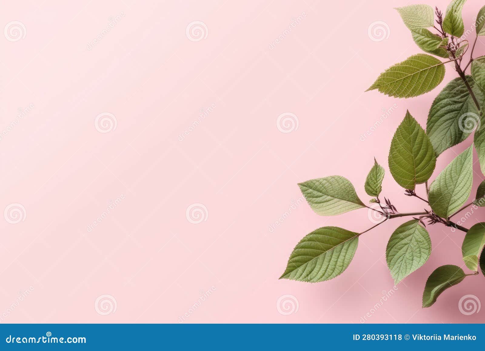 Green Leaves on a Pink Background. Copy Space Stock Illustration