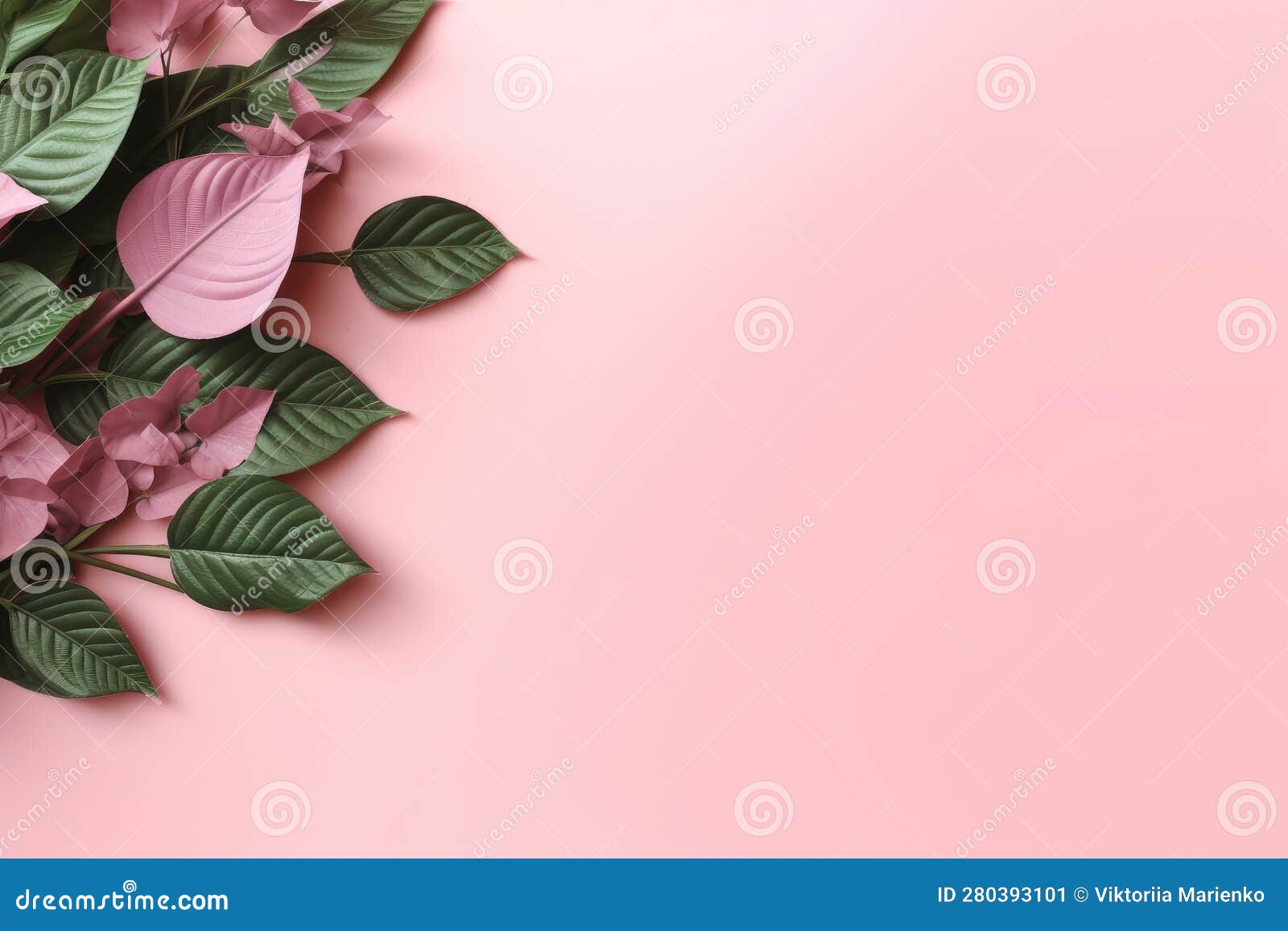 Green Leaves on a Pink Background. Flatly. Copy Space Stock