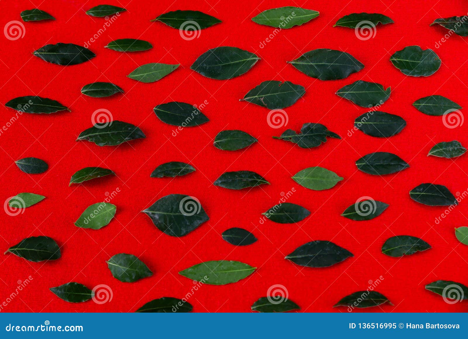 Green Leaves on Red Background Stock Image Image of botany, intensive